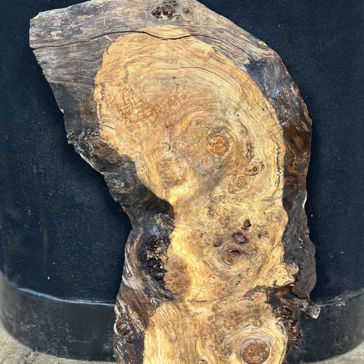 LiveEdge Silver Maple | Silver Maple | Double Diamond | BGDDSMCS.900