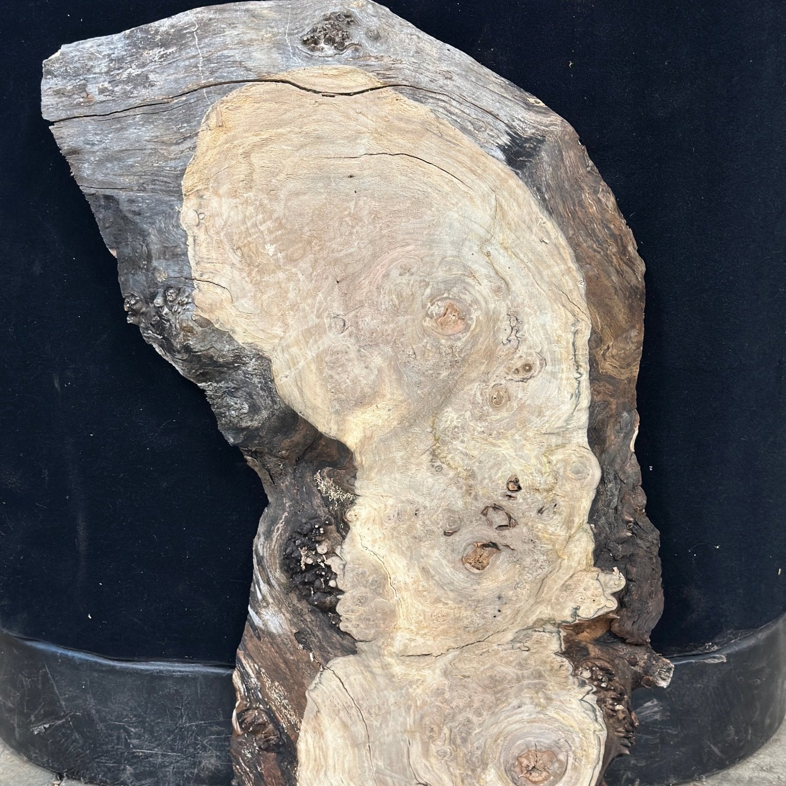 LiveEdge Silver Maple | Silver Maple | Double Diamond | BGDDSMCS.900