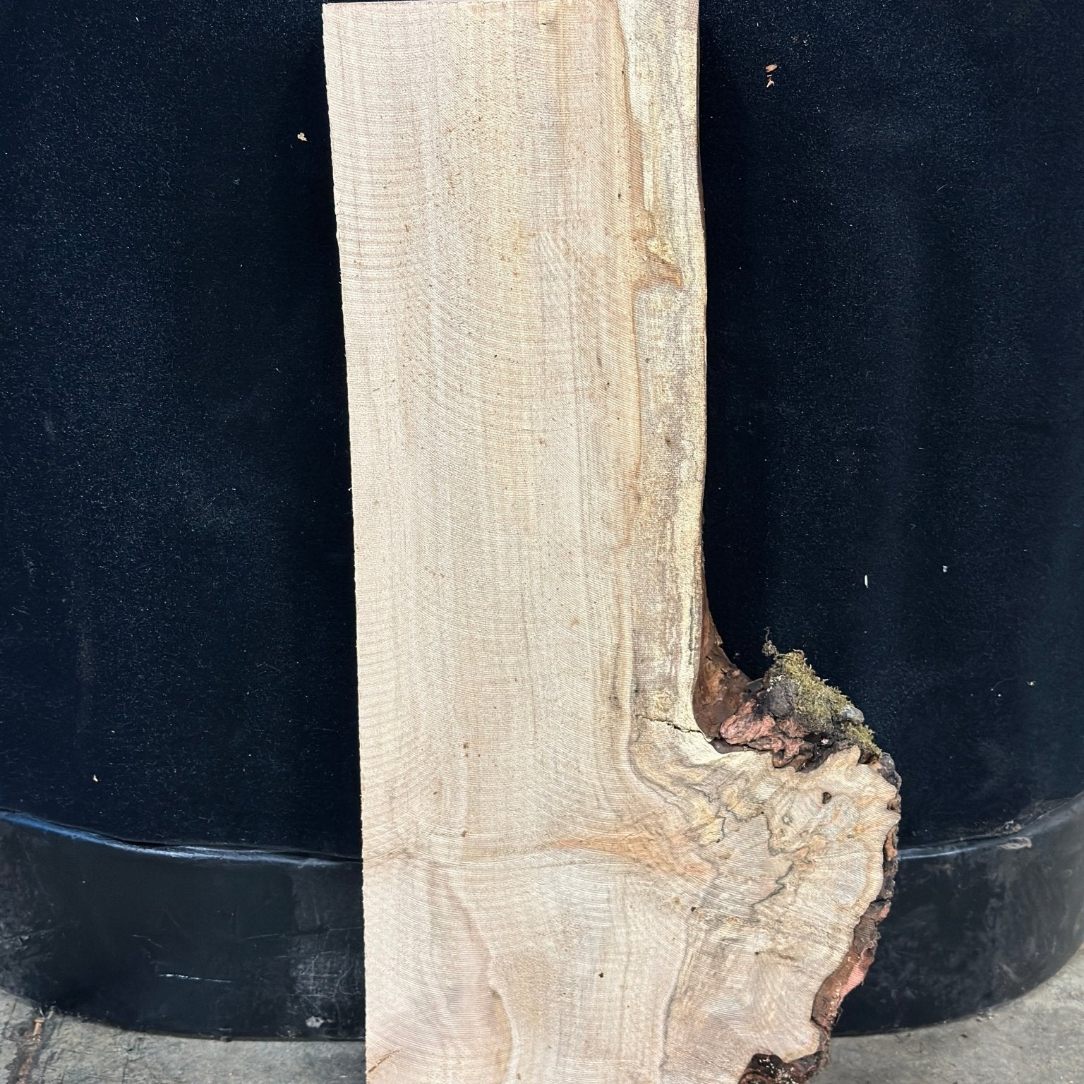 LiveEdge Silver Maple | Silver Maple | Double Diamond | BGDDSMCS.903