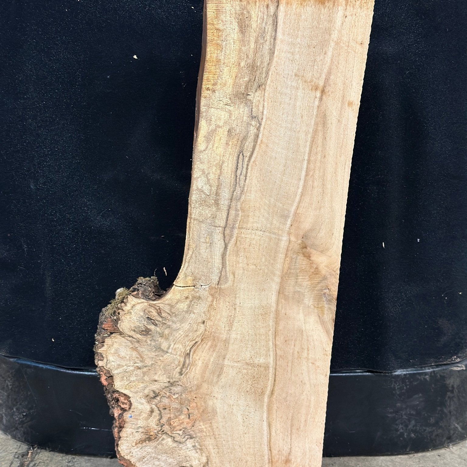LiveEdge Silver Maple | Silver Maple | Double Diamond | BGDDSMCS.903