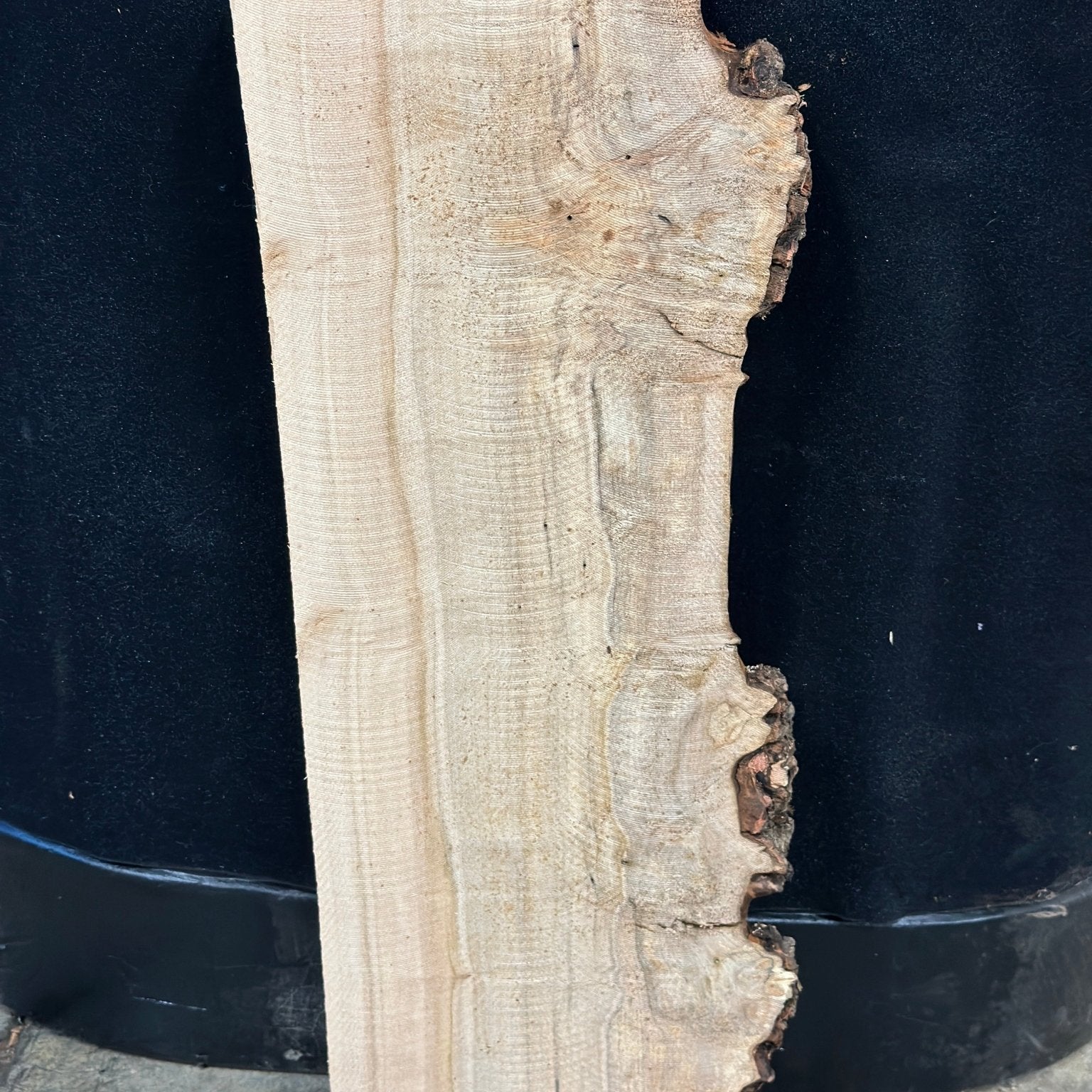 LiveEdge Silver Maple | Silver Maple | Double Diamond | BGDDSMCS.904