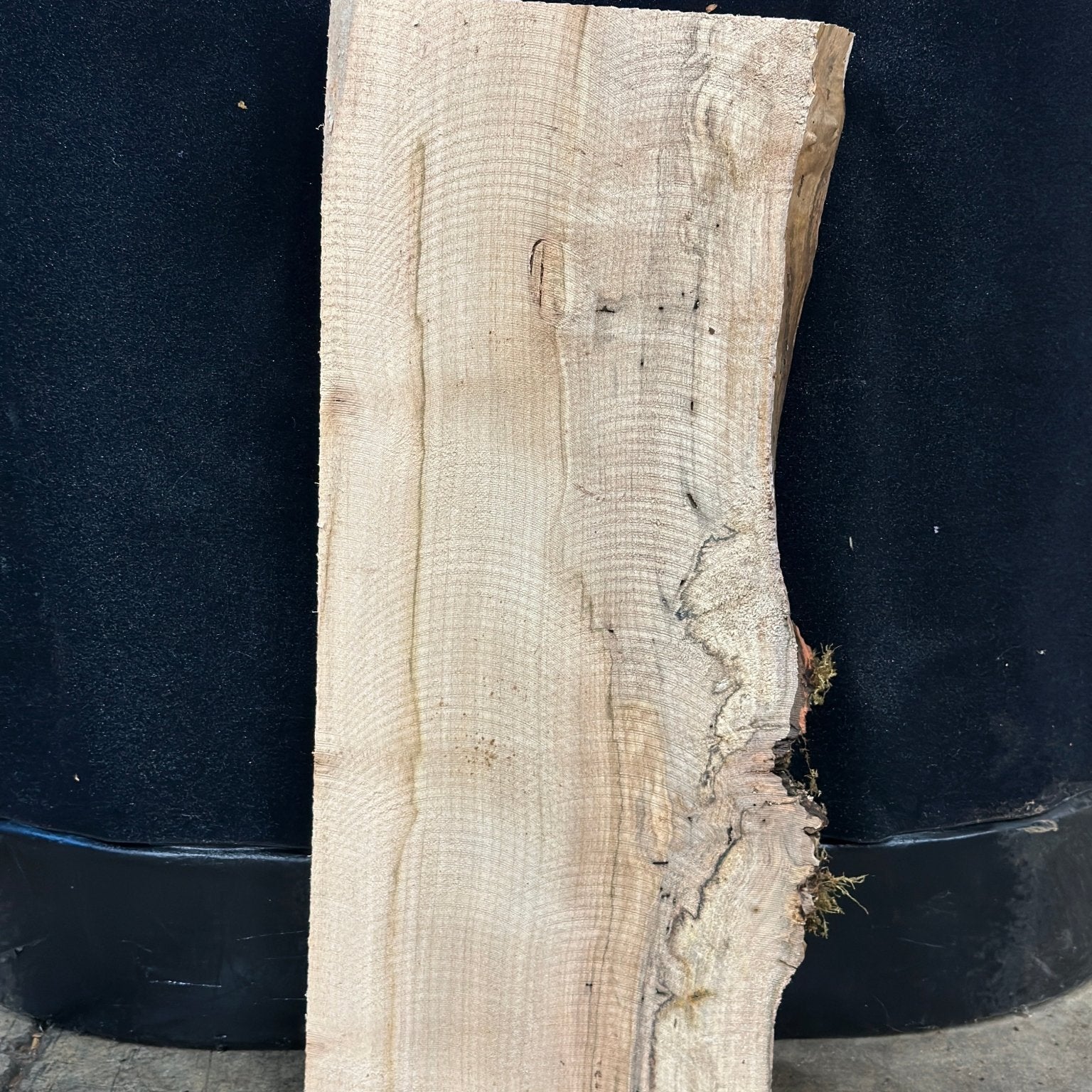 LiveEdge Silver Maple | Silver Maple | Double Diamond | BGDDSMCS.906