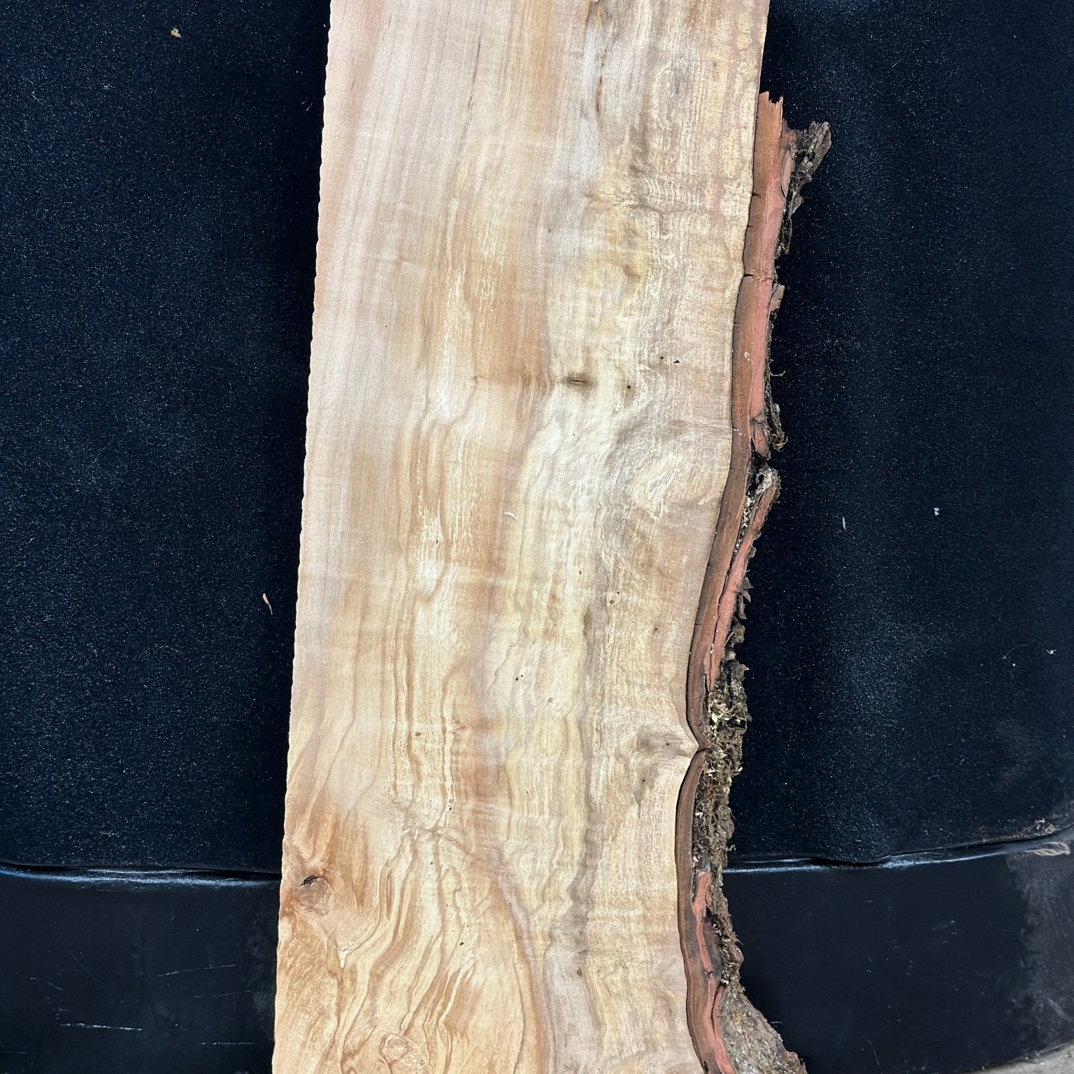LiveEdge Silver Maple | Silver Maple | Double Diamond | BGDDSMCS.908