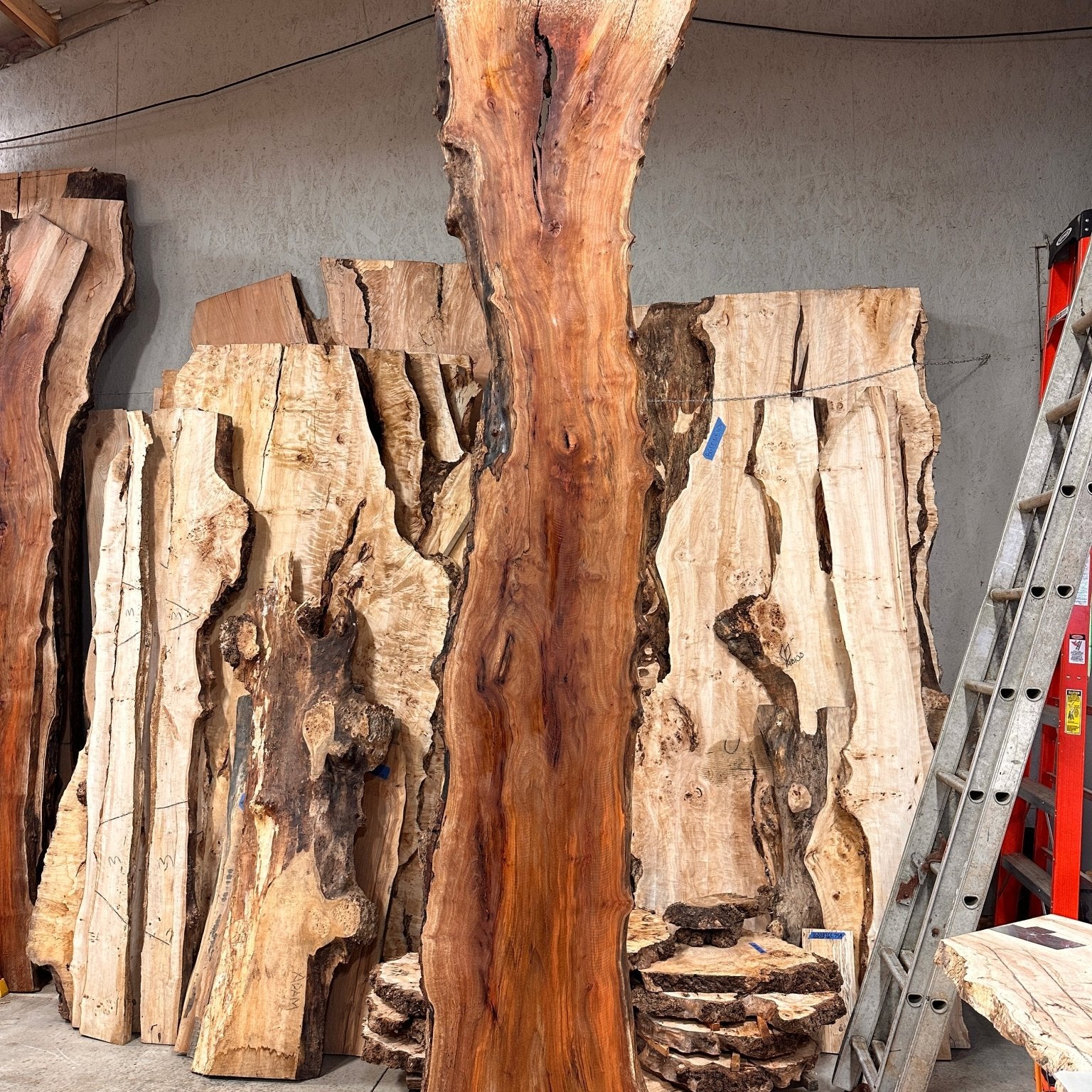 LiveEdge Sycamore | Big Leaf Maple | Double Diamond