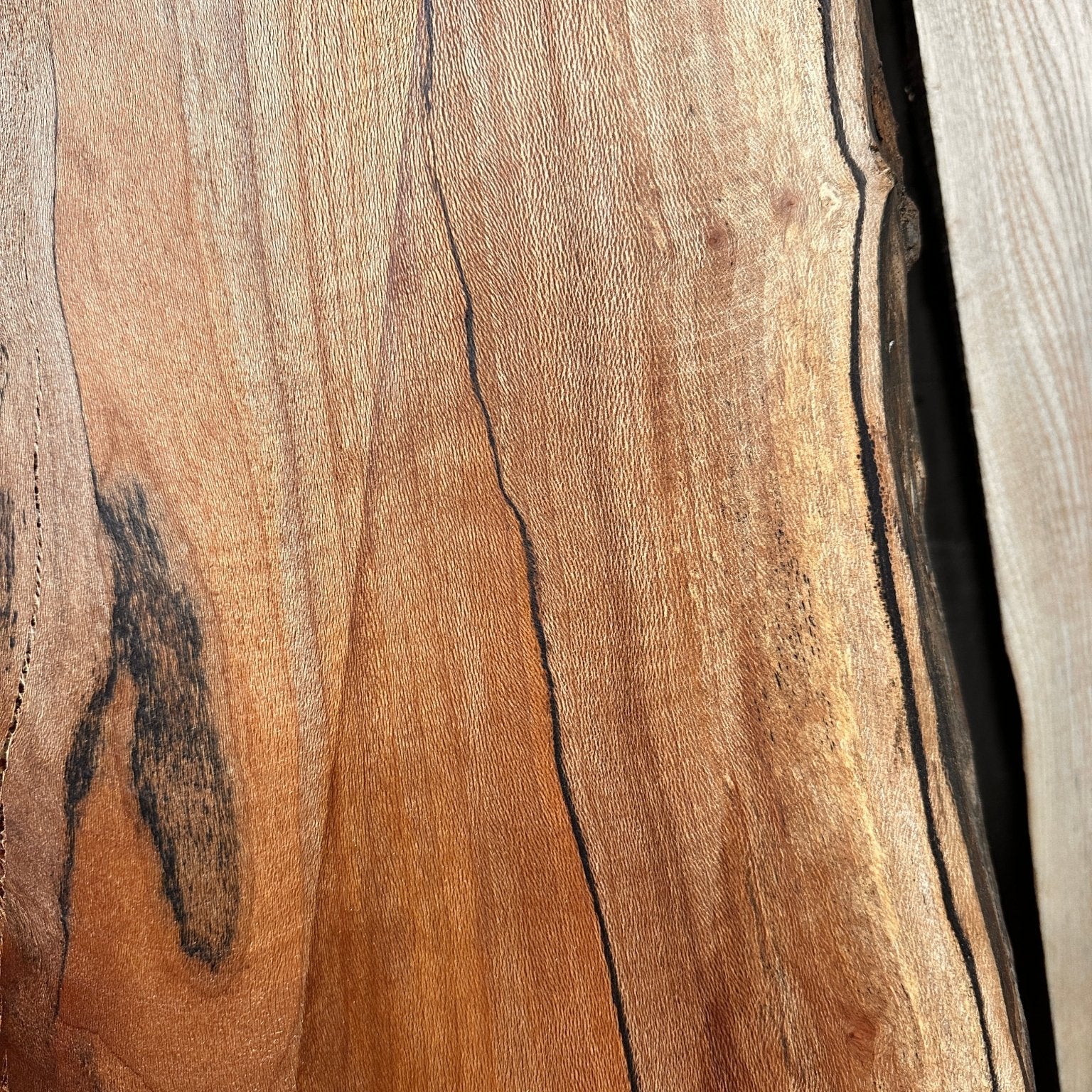 LiveEdge Sycamore | Big Leaf Maple | Double Diamond