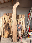 LiveEdge Sycamore | Big Leaf Maple | Double Diamond