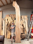LiveEdge Sycamore | Big Leaf Maple | Double Diamond