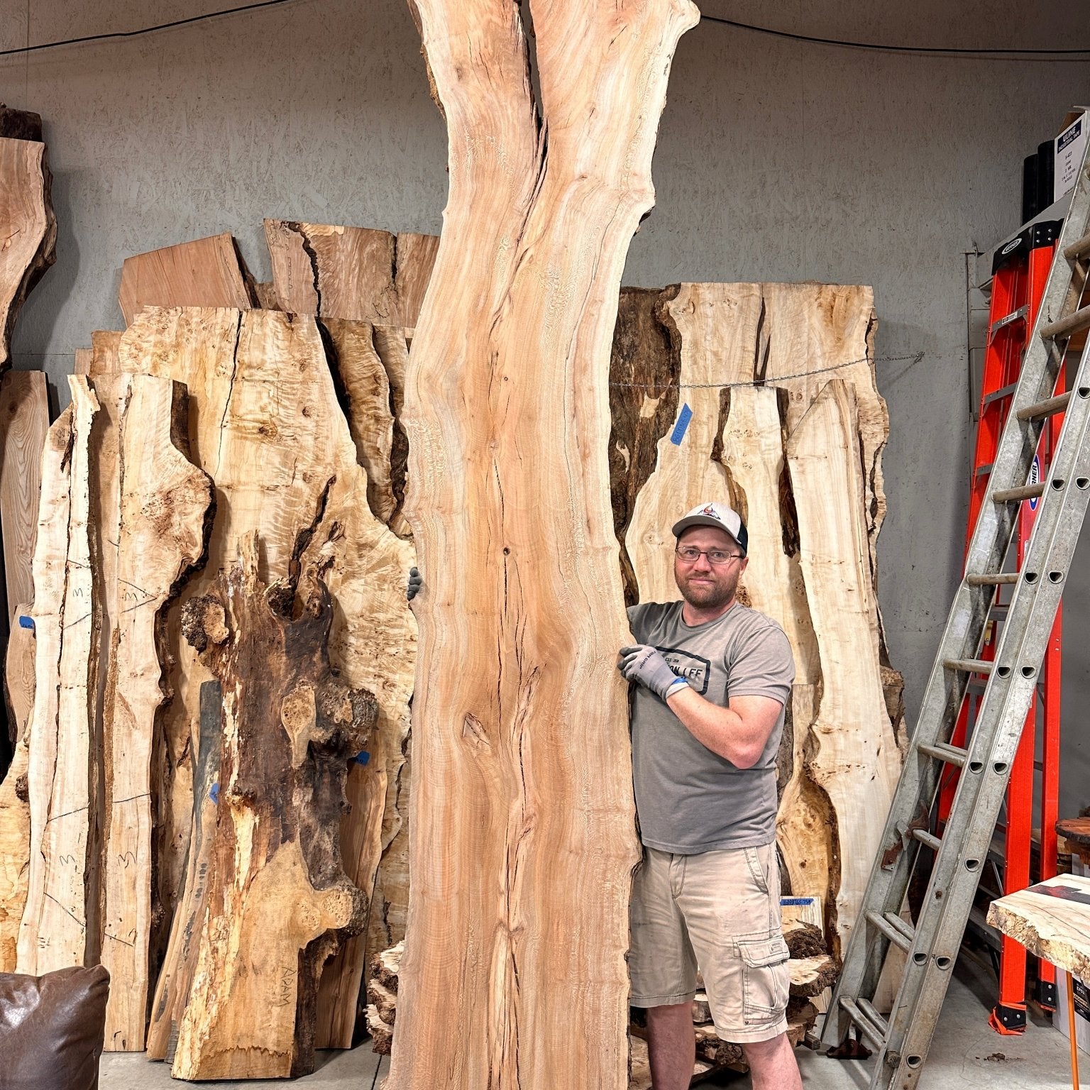 LiveEdge Sycamore | Big Leaf Maple | Double Diamond