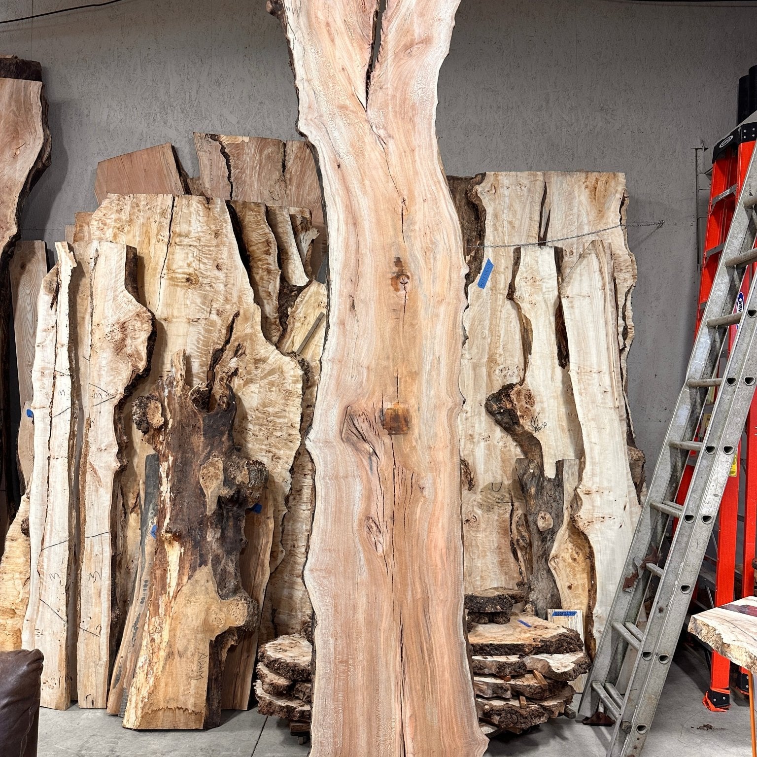 LiveEdge Sycamore | Big Leaf Maple | Double Diamond