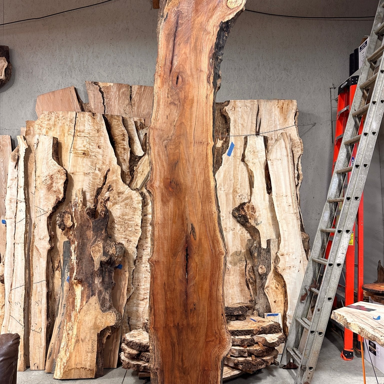 LiveEdge Sycamore | Big Leaf Maple | Double Diamond