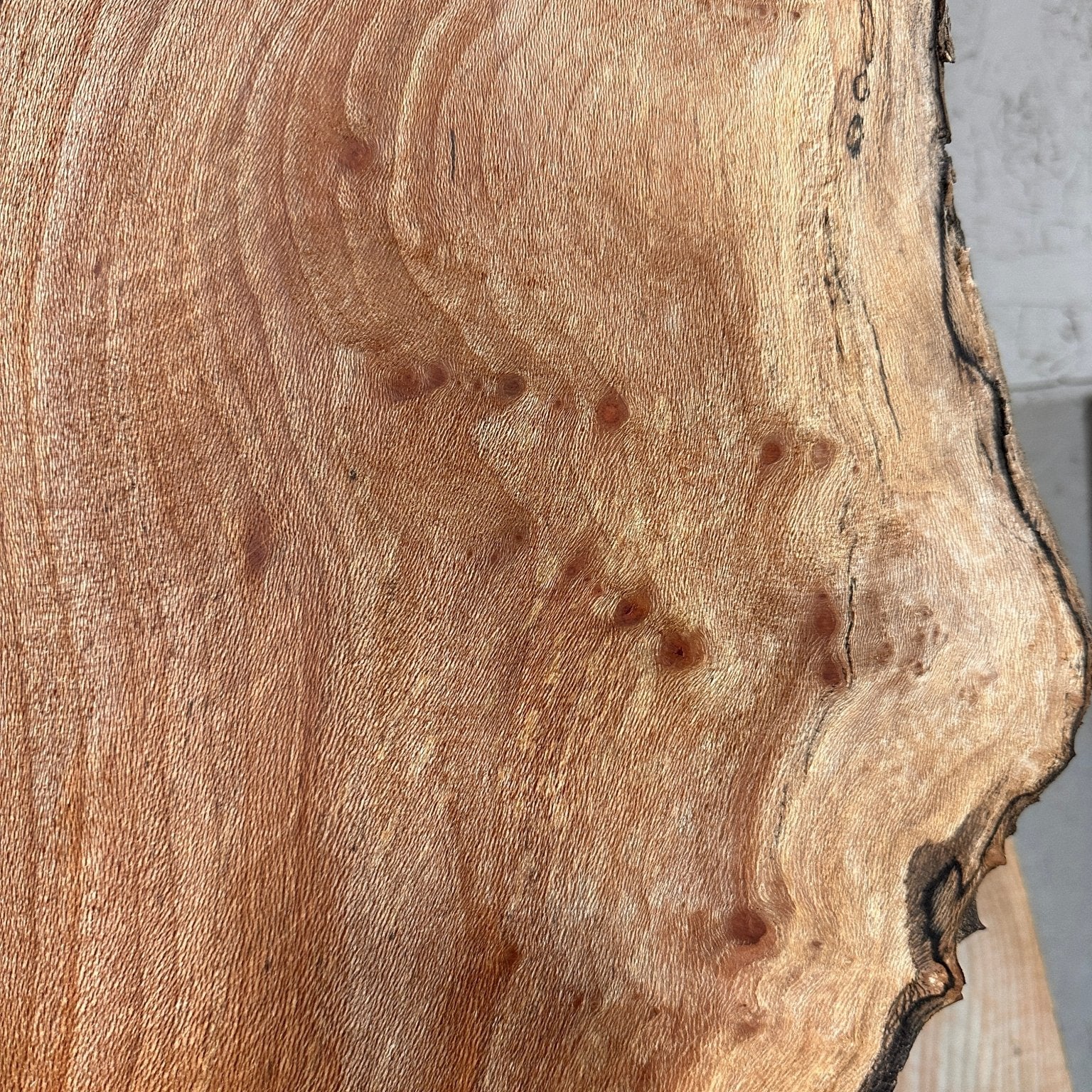 LiveEdge Sycamore | Big Leaf Maple | Double Diamond