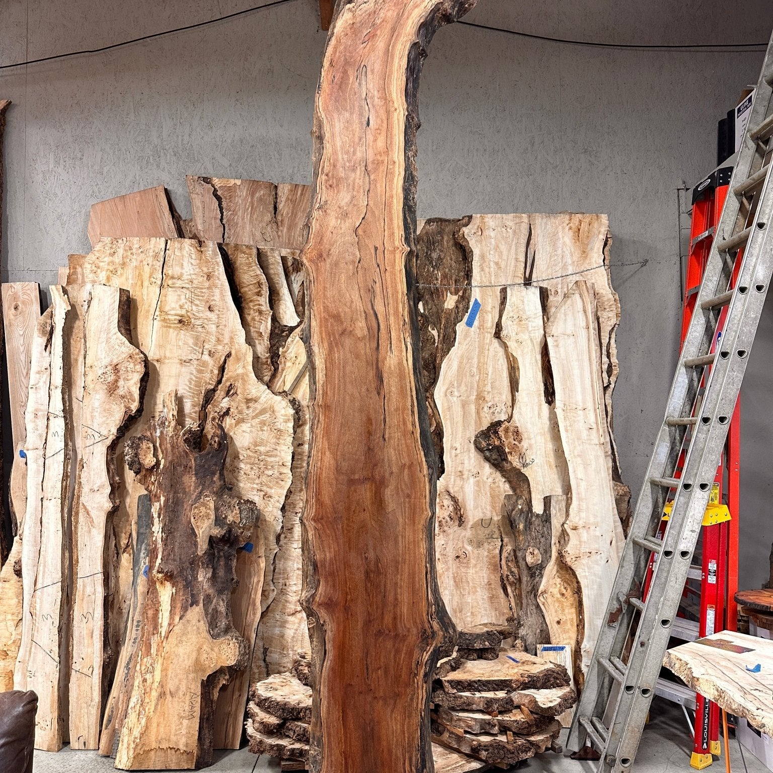 LiveEdge Sycamore | Big Leaf Maple | Double Diamond