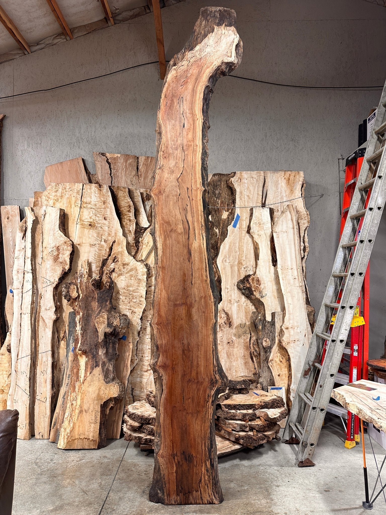 LiveEdge Sycamore | Big Leaf Maple | Double Diamond