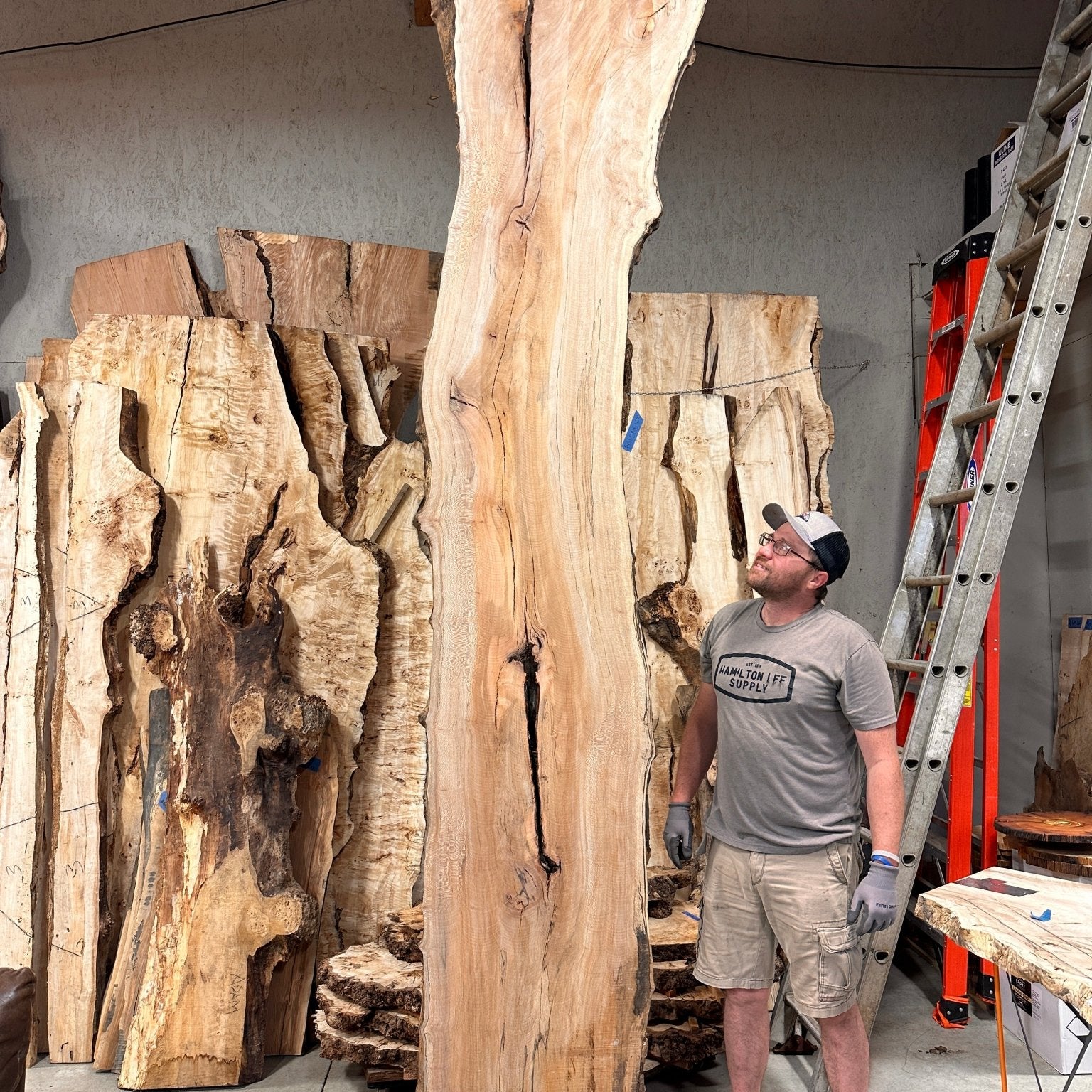 LiveEdge Sycamore | Big Leaf Maple | Double Diamond