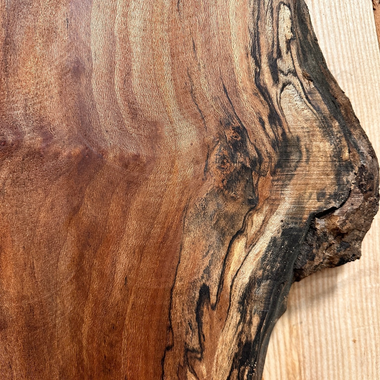 LiveEdge Sycamore | Big Leaf Maple | Double Diamond