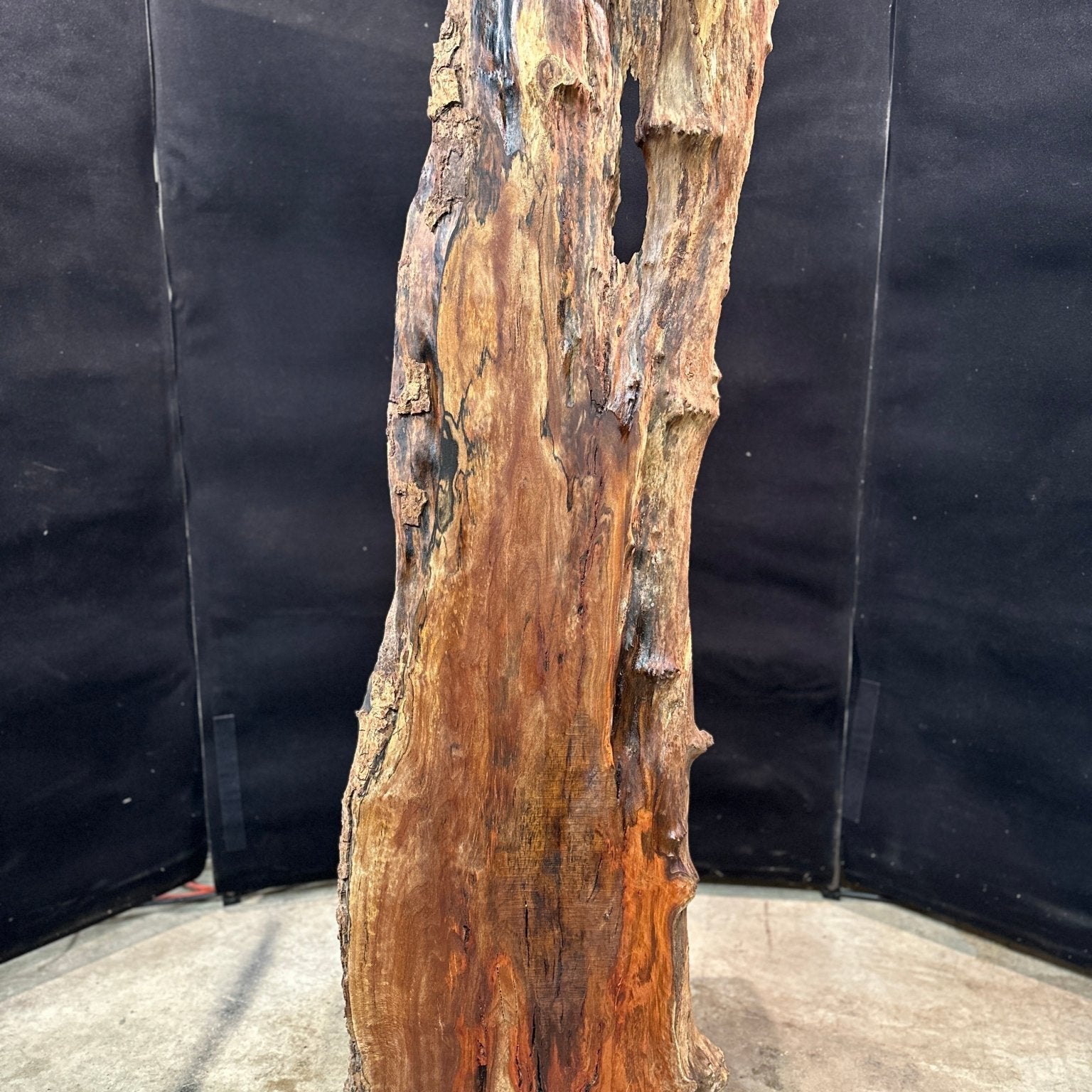 LiveEdge Sycamore | Black Locust | Double Diamond