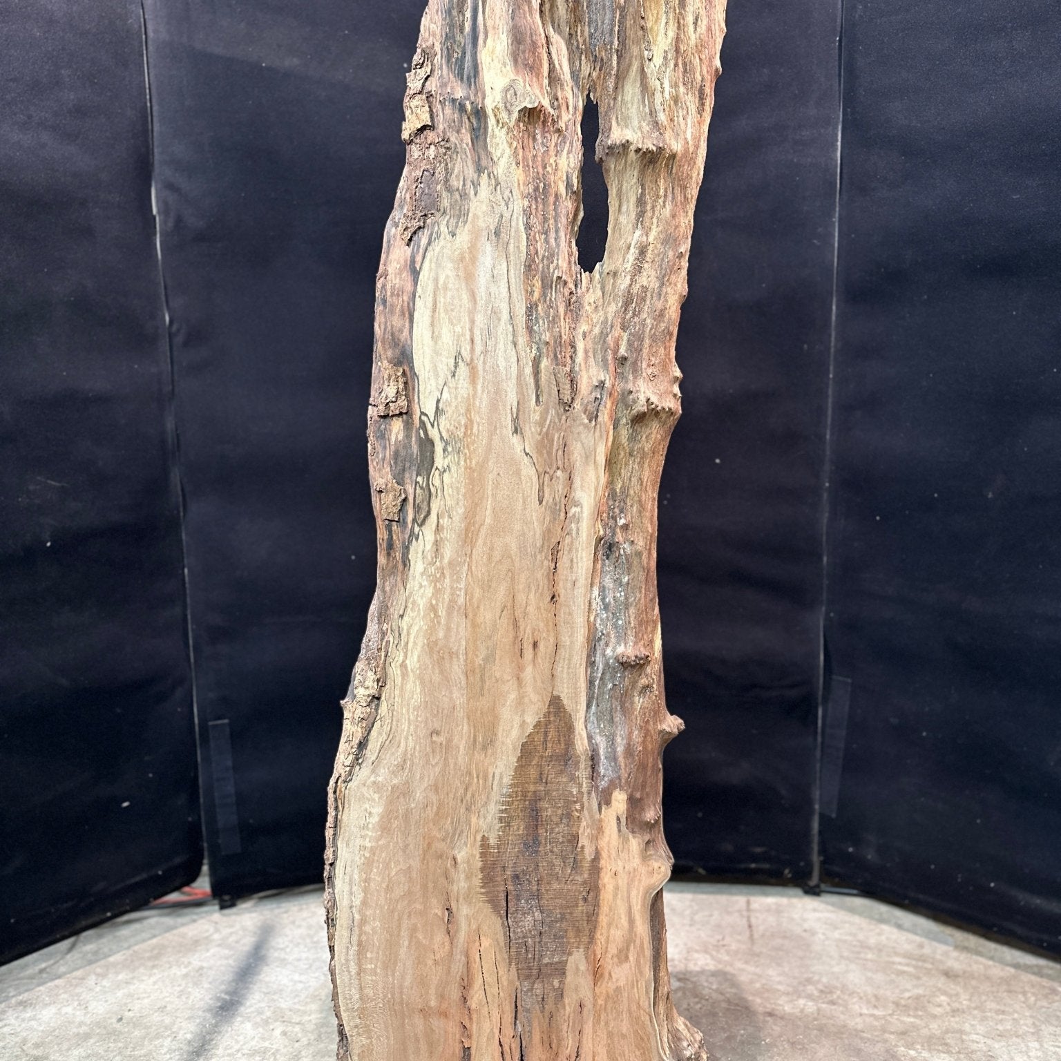 LiveEdge Sycamore | Black Locust | Double Diamond
