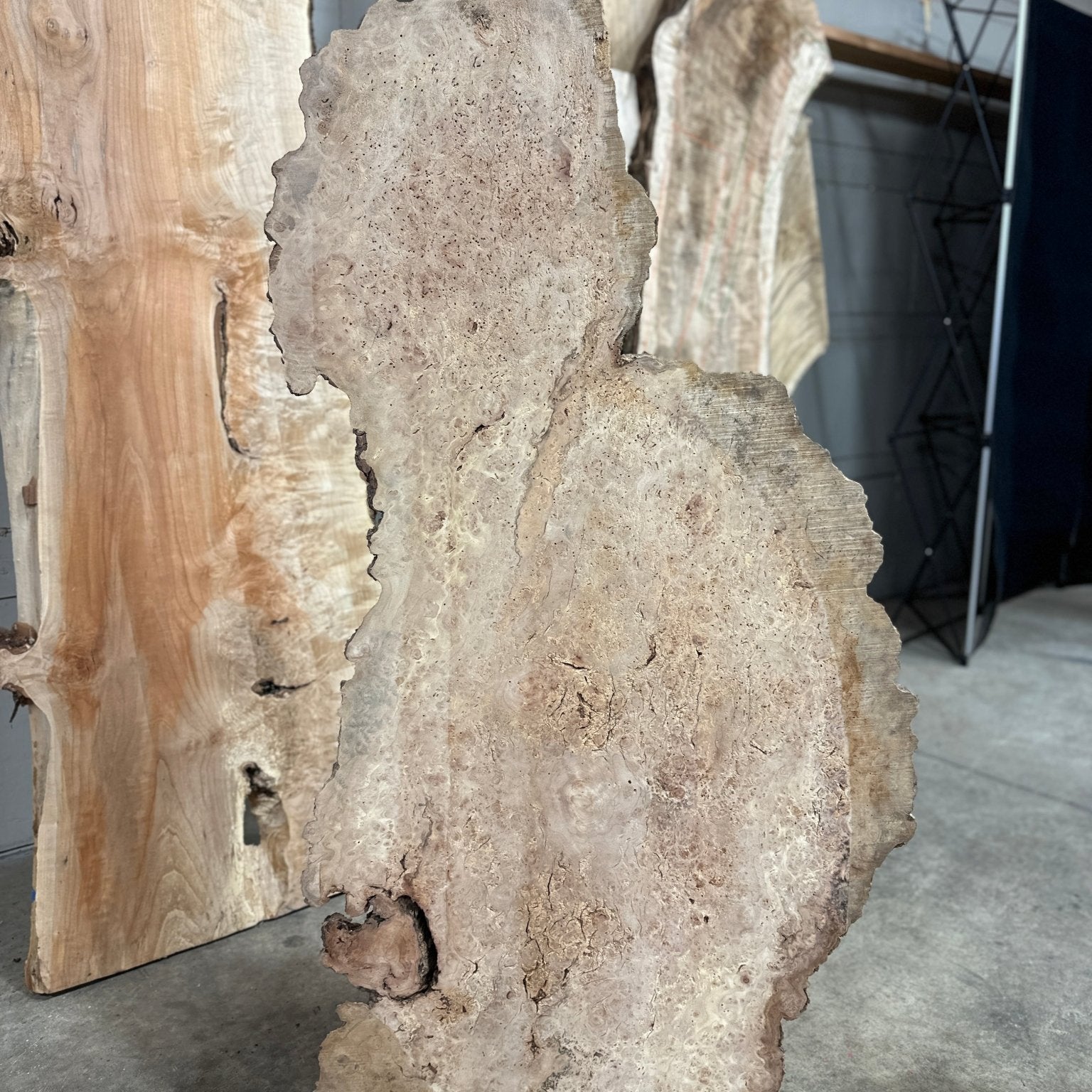 LiveEdge Sycamore Burl | Ancient Redwood | Adam Luna