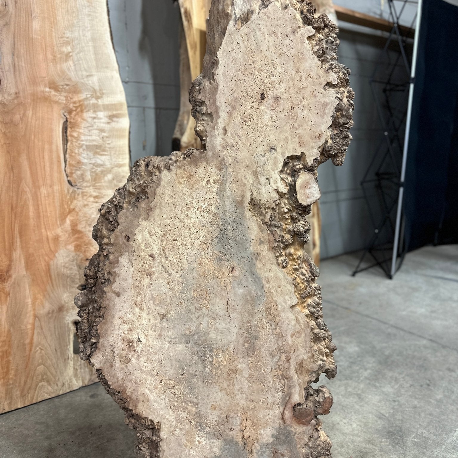 LiveEdge Sycamore Burl | Ancient Redwood | Adam Luna