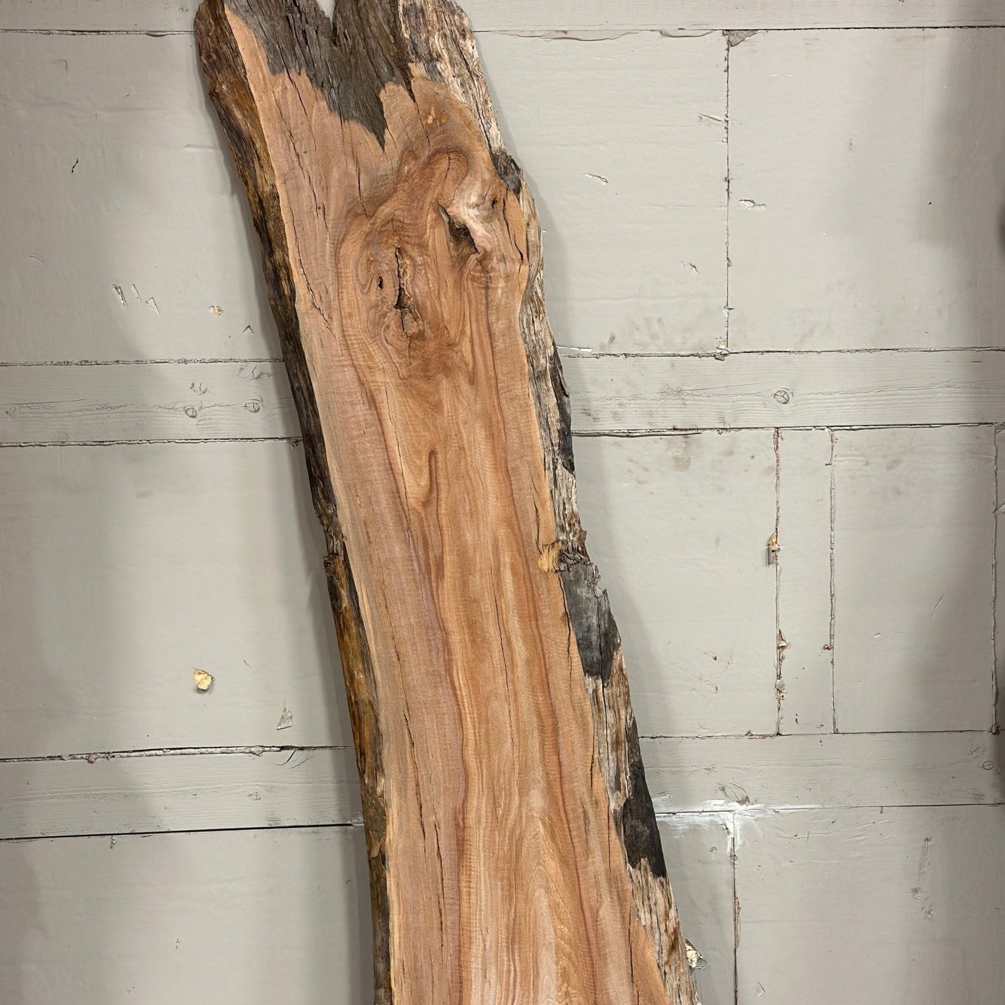 LiveEdge Washington Apple | Craft Wood & Shapes | Double Diamond | BGDDAP700