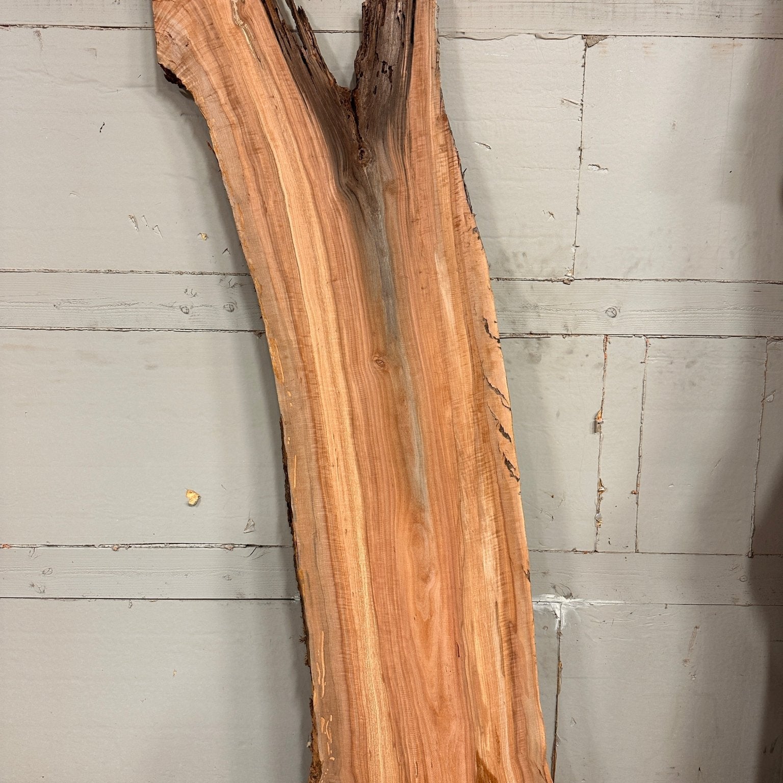 LiveEdge Washington Apple | Craft Wood & Shapes | Double Diamond | BGDDAP707