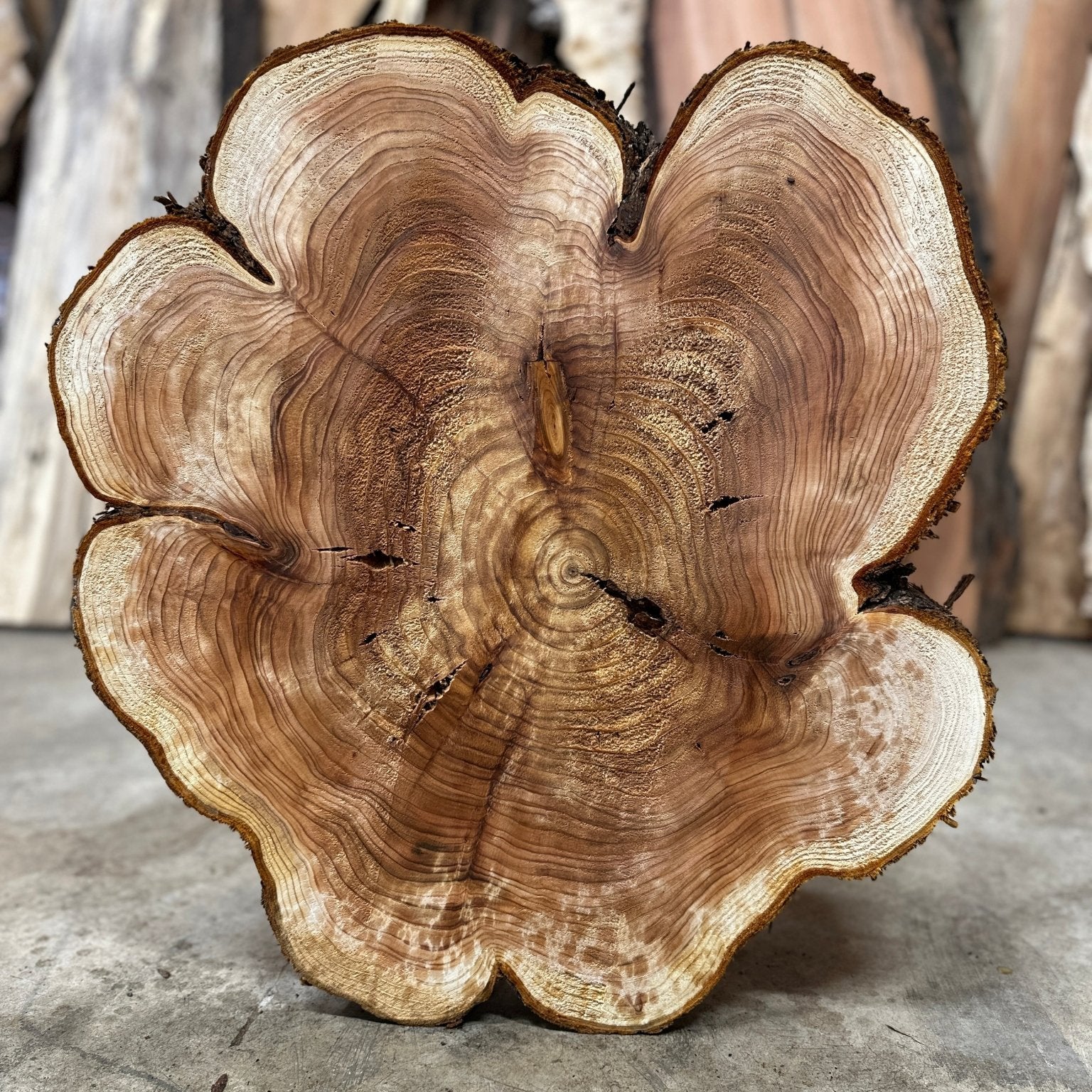 LiveEdge Western Red Cedar | Western Red Cedar | Hamilton Lee Supply