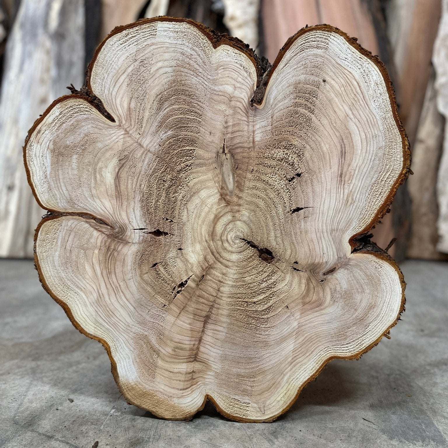 LiveEdge Western Red Cedar | Western Red Cedar | Hamilton Lee Supply