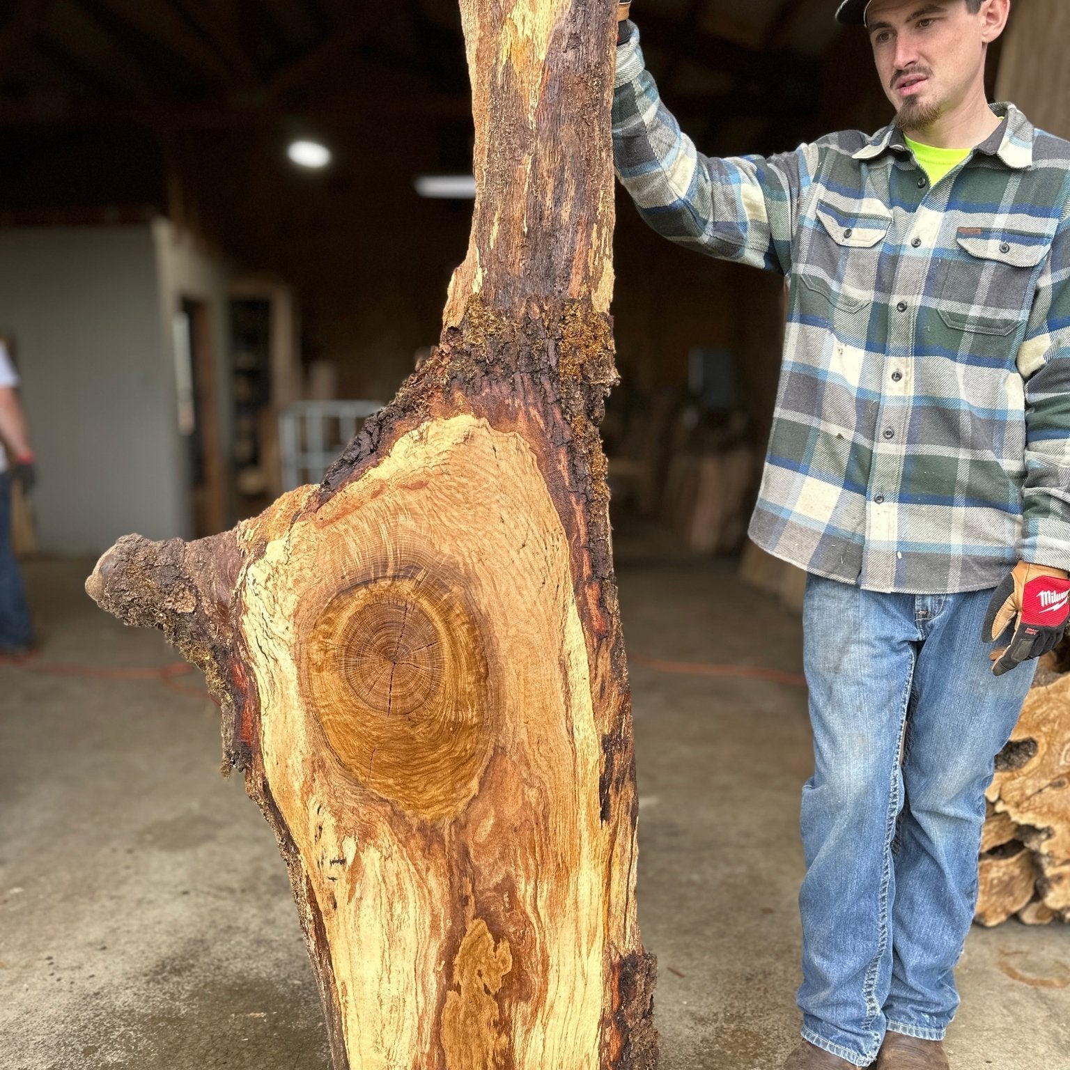 LiveEdge White Oak | White Oak | Double Diamond