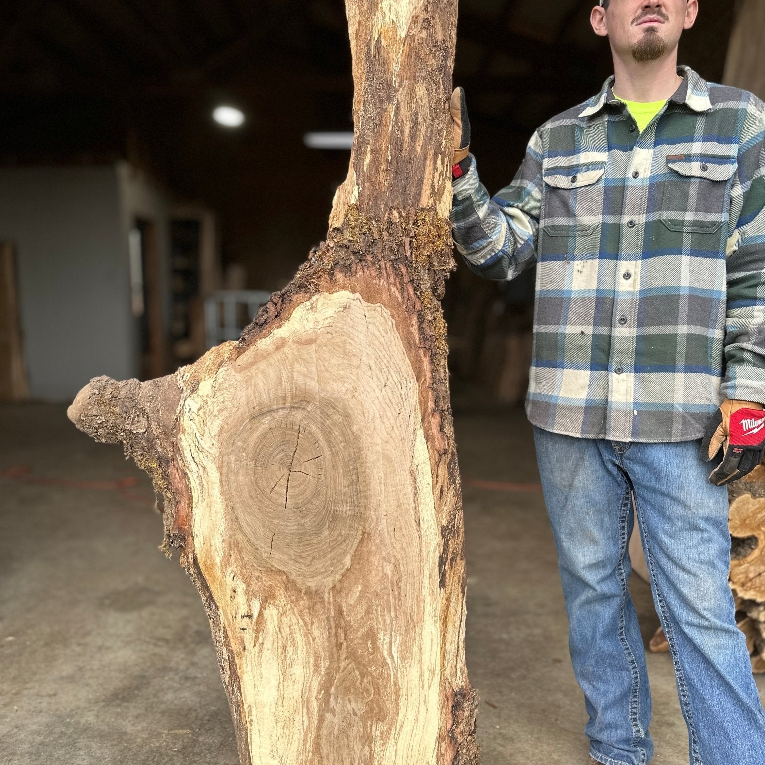 LiveEdge White Oak | White Oak | Double Diamond