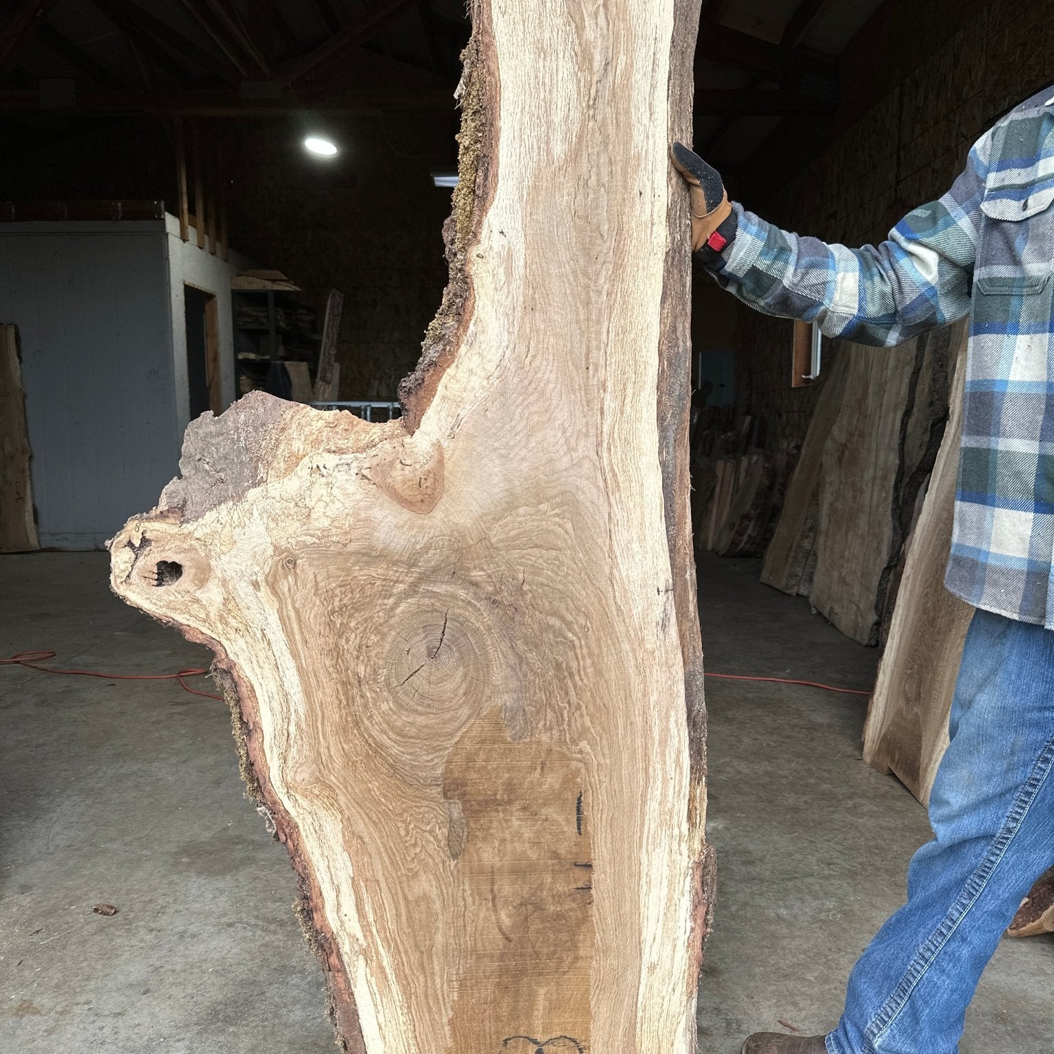 LiveEdge White Oak | White Oak | Double Diamond