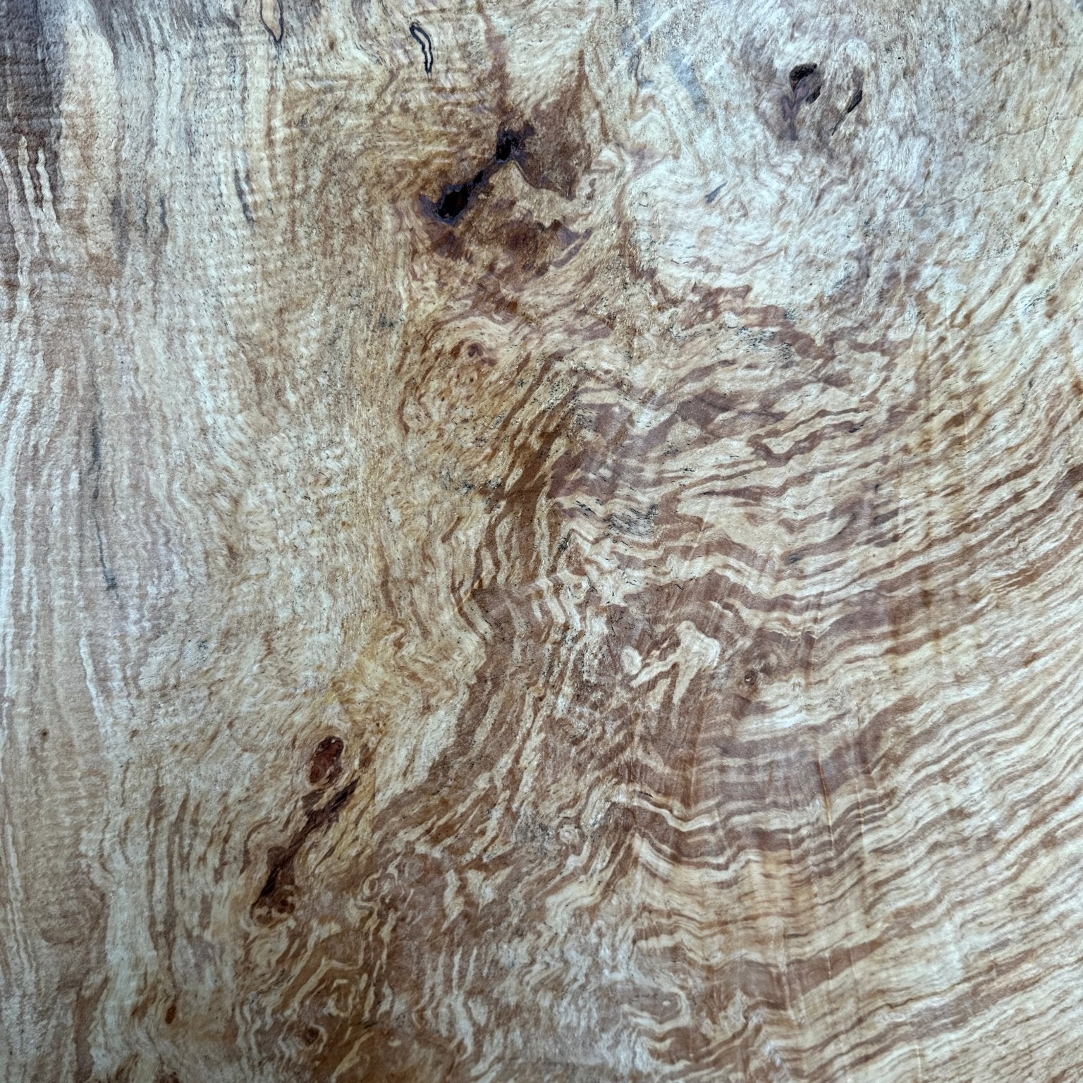 LiveEdge Silver Maple | Silver Maple | Hamilton Lee Supply