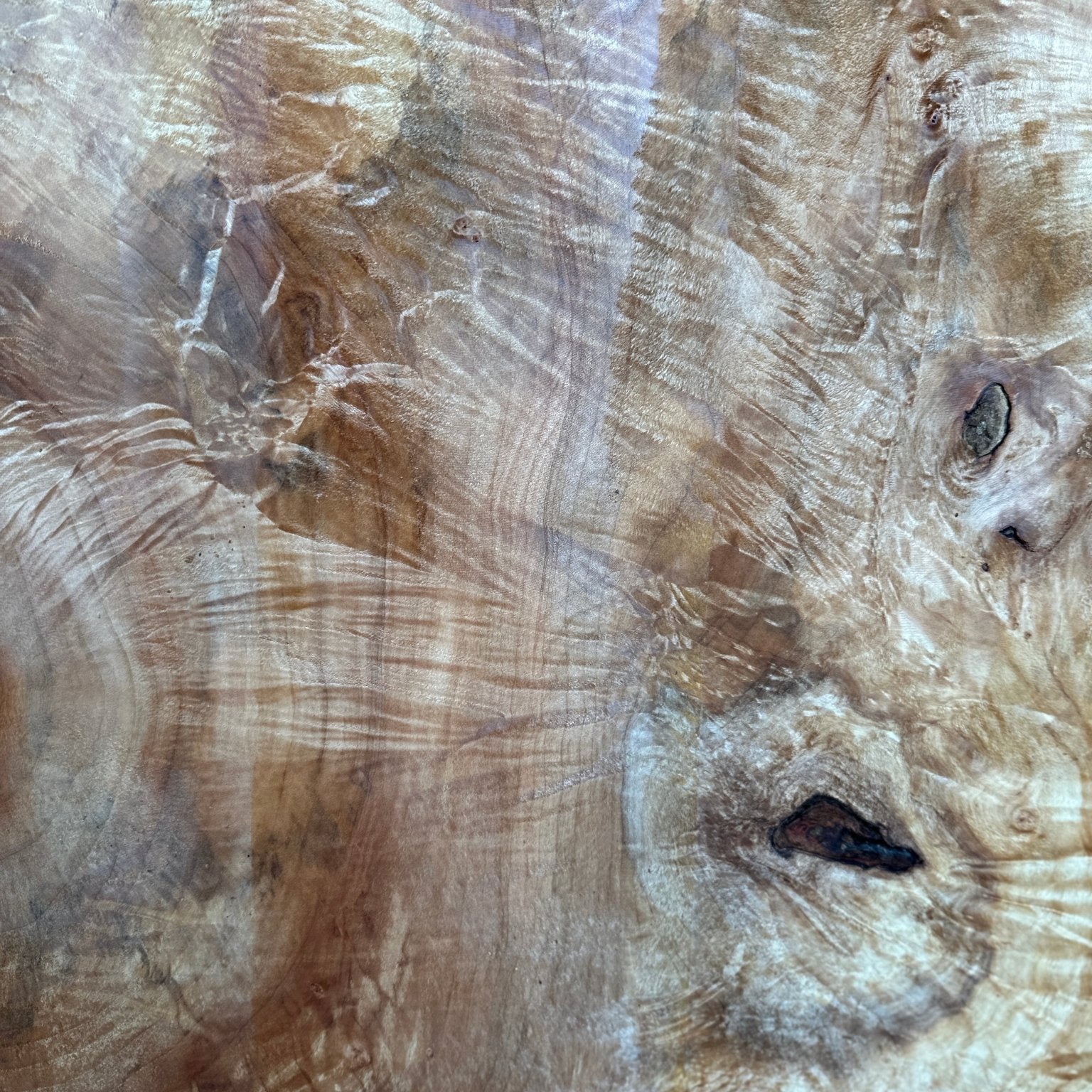 LiveEdge Silver Maple | Silver Maple | Hamilton Lee Supply