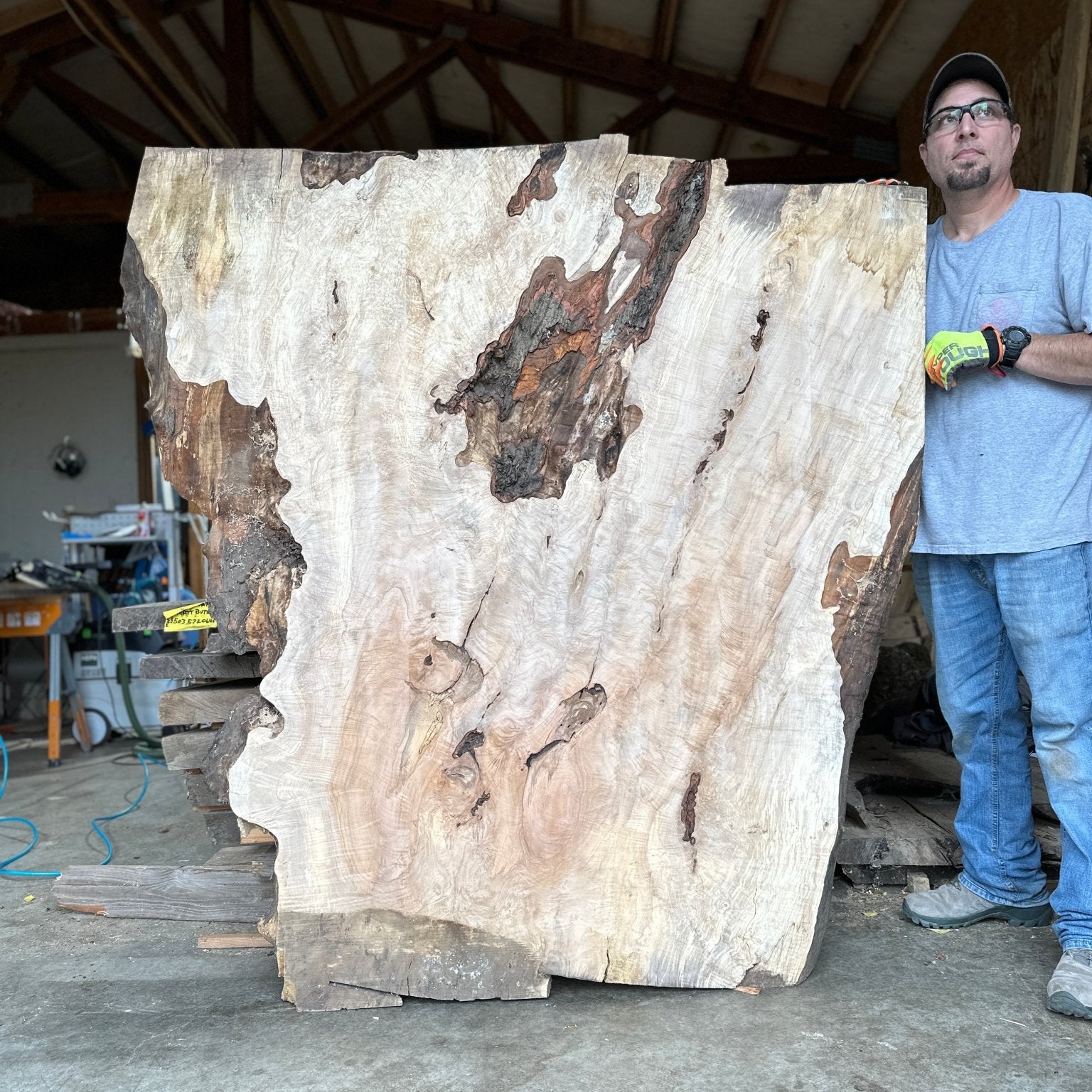 LiveEdge Silver Maple | Silver Maple | Hamilton Lee Supply