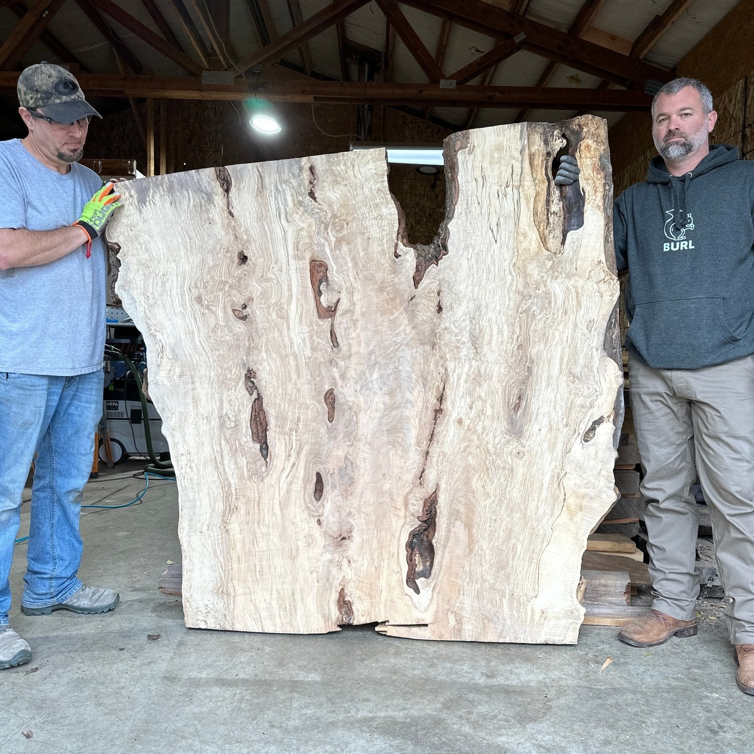 LiveEdge Silver Maple | Silver Maple | Hamilton Lee Supply