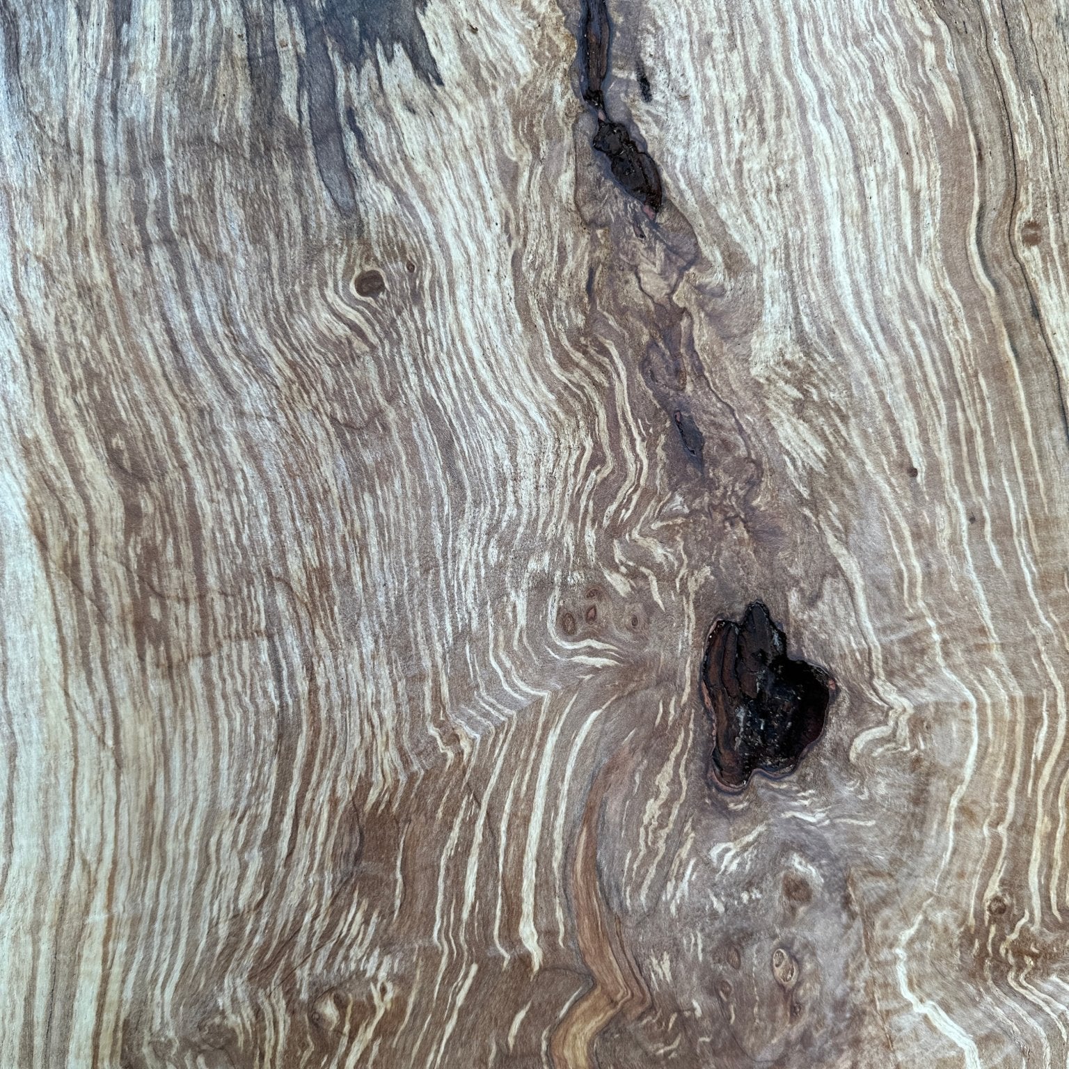 LiveEdge Silver Maple | Silver Maple | Hamilton Lee Supply