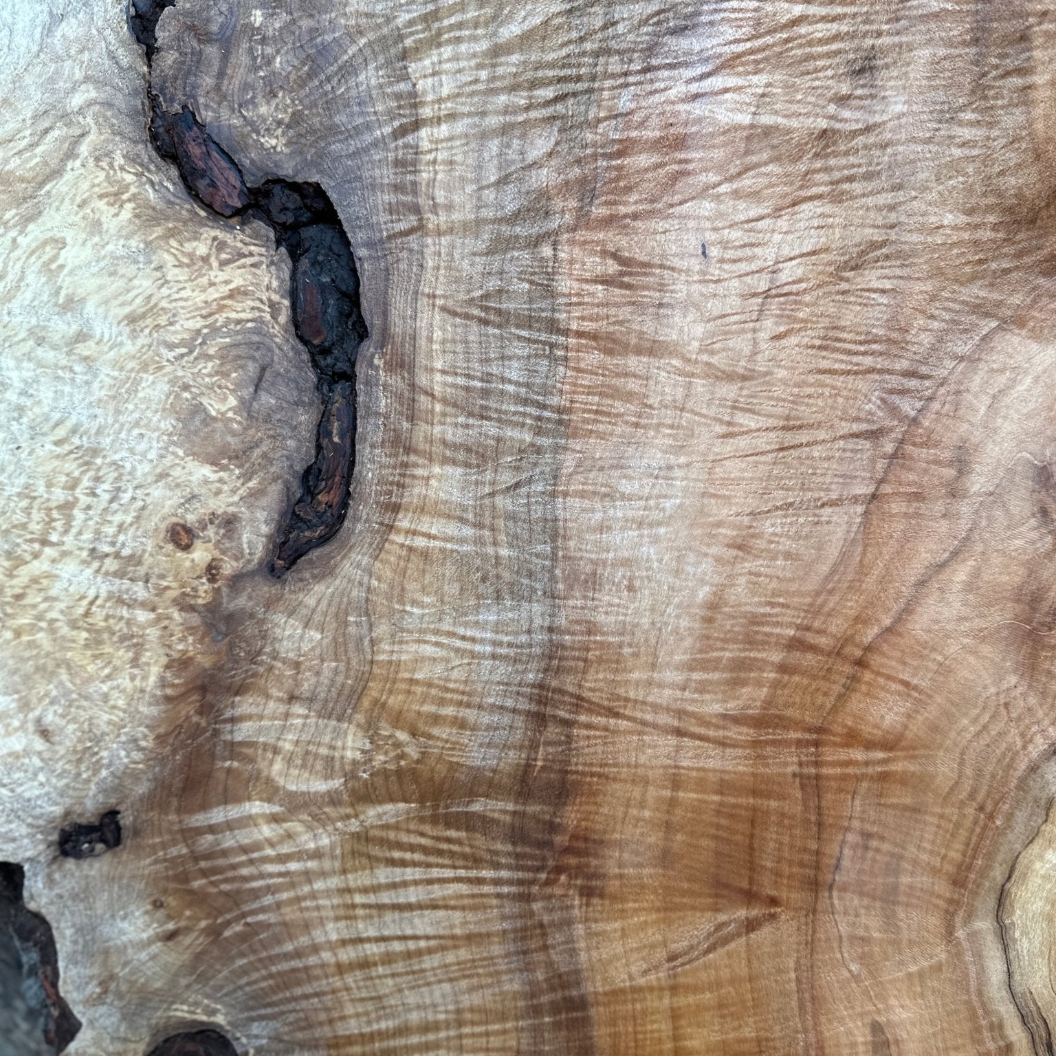 LiveEdge Silver Maple | Silver Maple | Hamilton Lee Supply