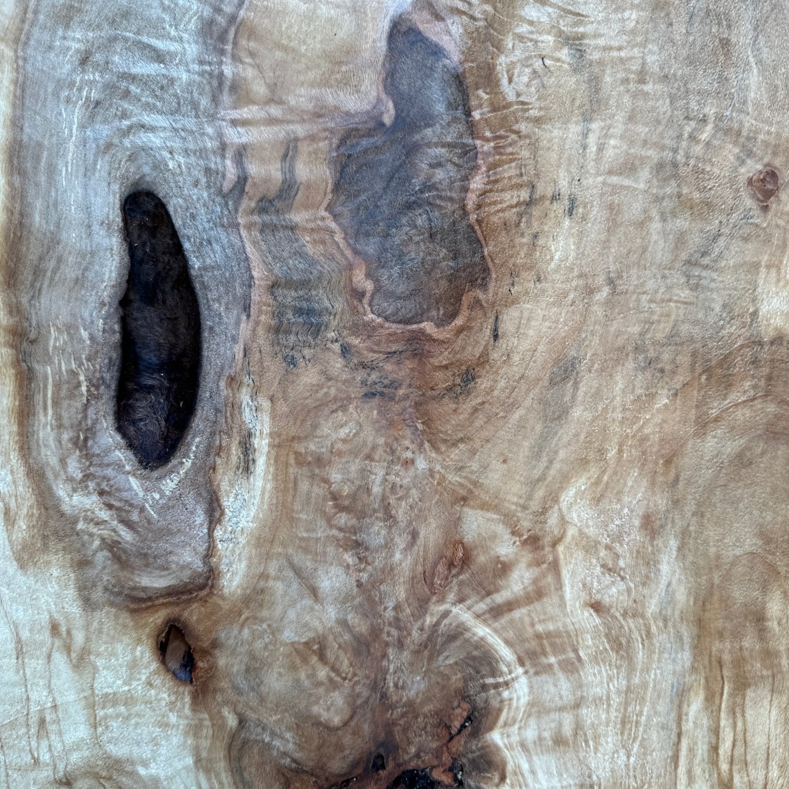 LiveEdge Silver Maple | Silver Maple | Hamilton Lee Supply