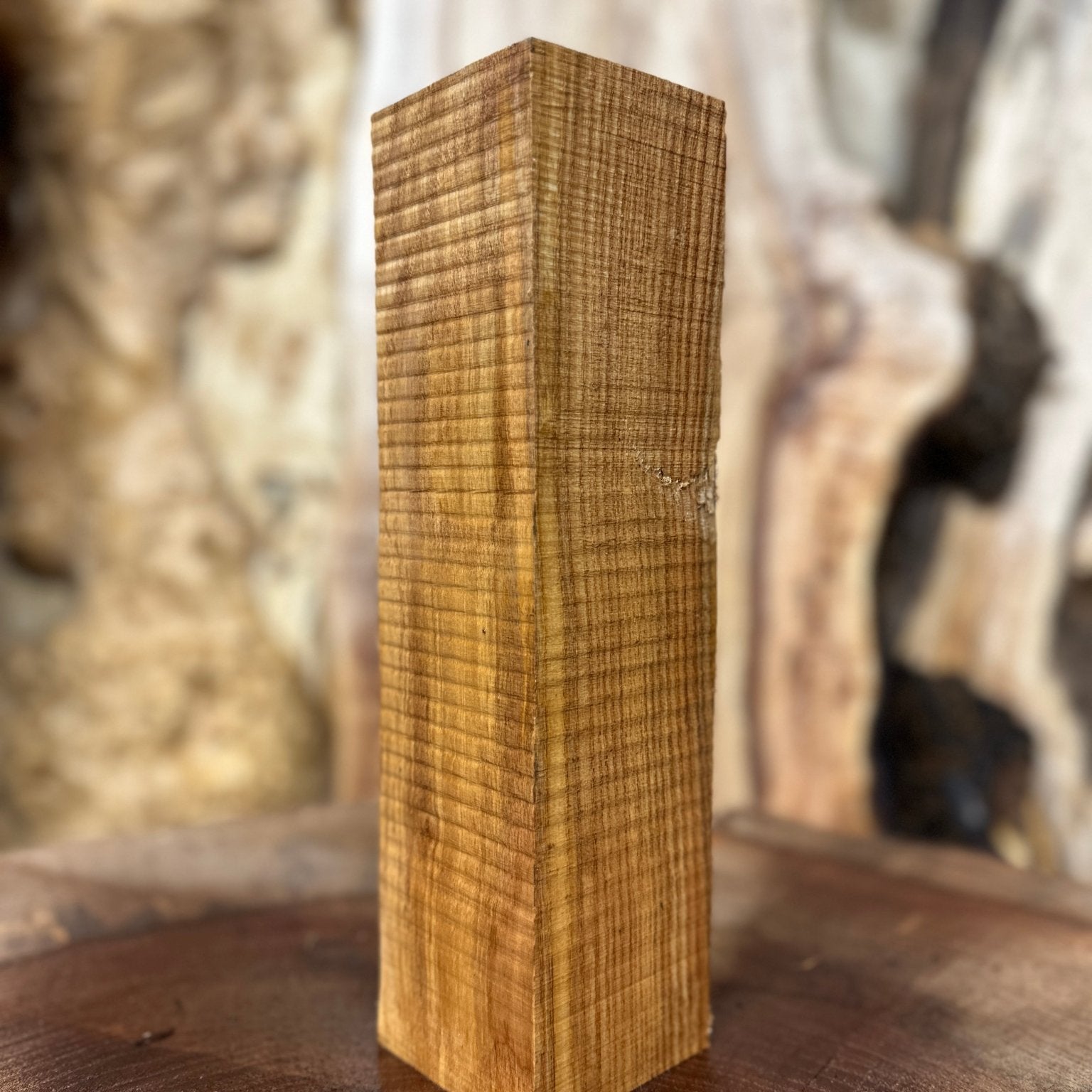 Ash Blank | Ash | Hamilton Lee Supply