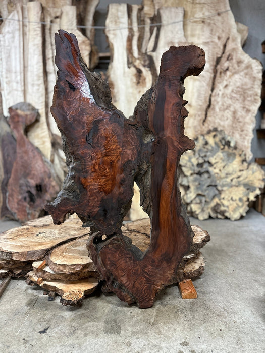 Austin Andreassonn | LiveEdge Redwood Burl | Redwood Burl | Hamilton Lee Supply