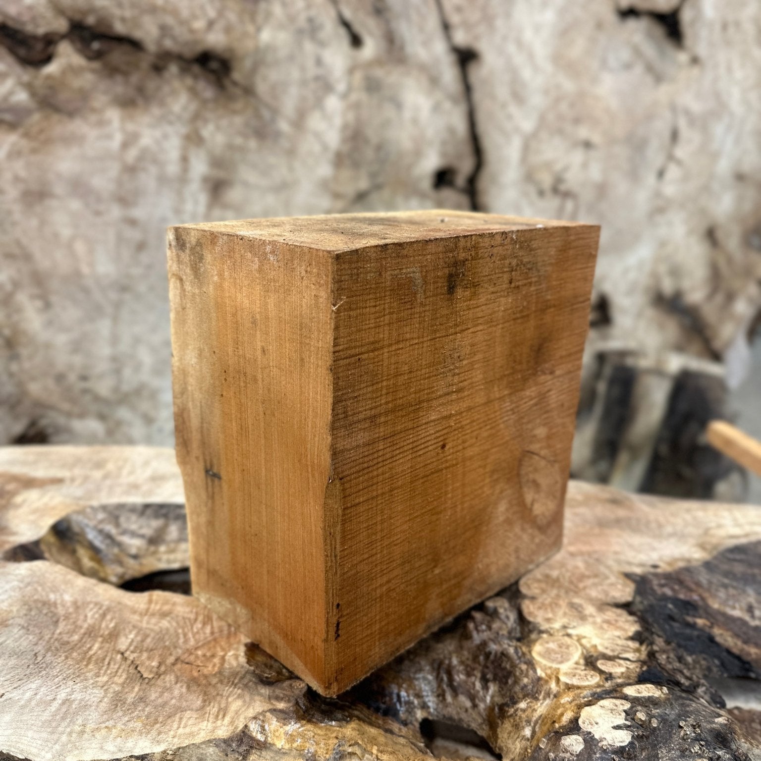 Big Leaf Maple Blank | Big Leaf Maple | Hamilton Lee Supply