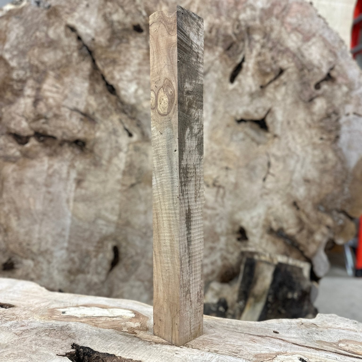 Big Leaf Maple Blank | Big Leaf Maple | Hamilton Lee Supply