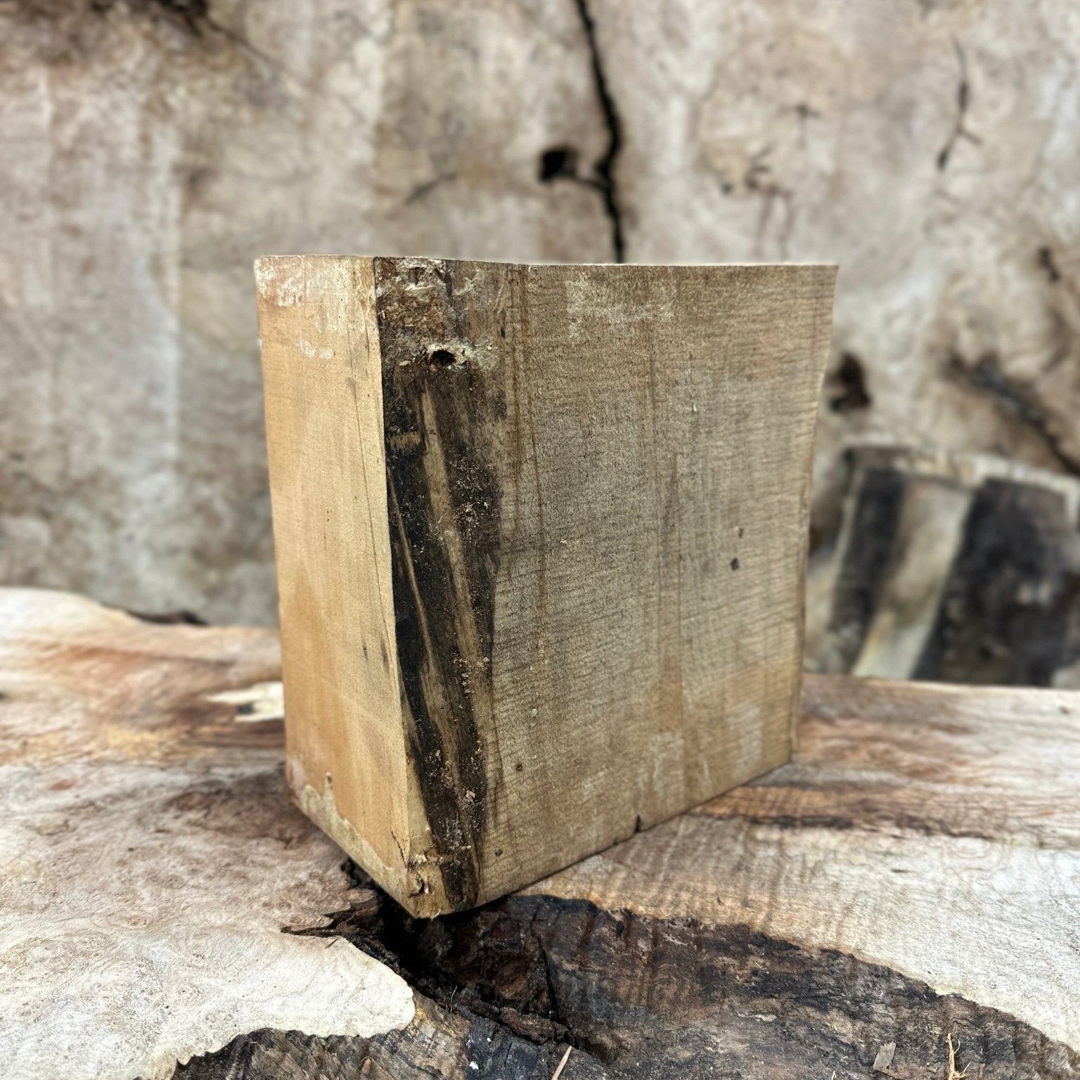 Big Leaf Maple Blank | Big Leaf Maple | Hamilton Lee Supply