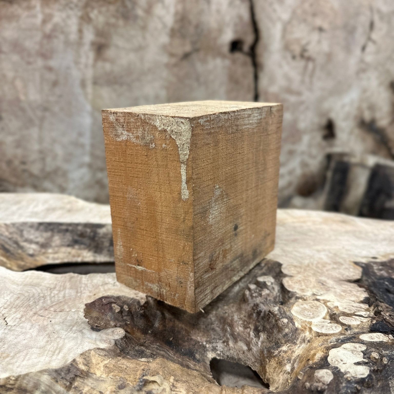 Big Leaf Maple Blank | Big Leaf Maple | Hamilton Lee Supply