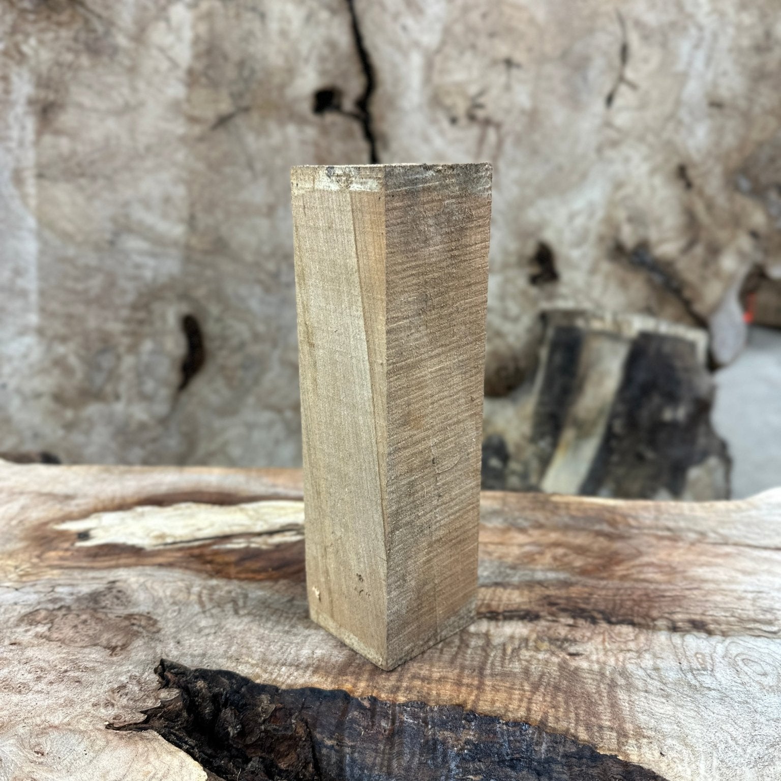 Big Leaf Maple Blank | Big Leaf Maple | Hamilton Lee Supply