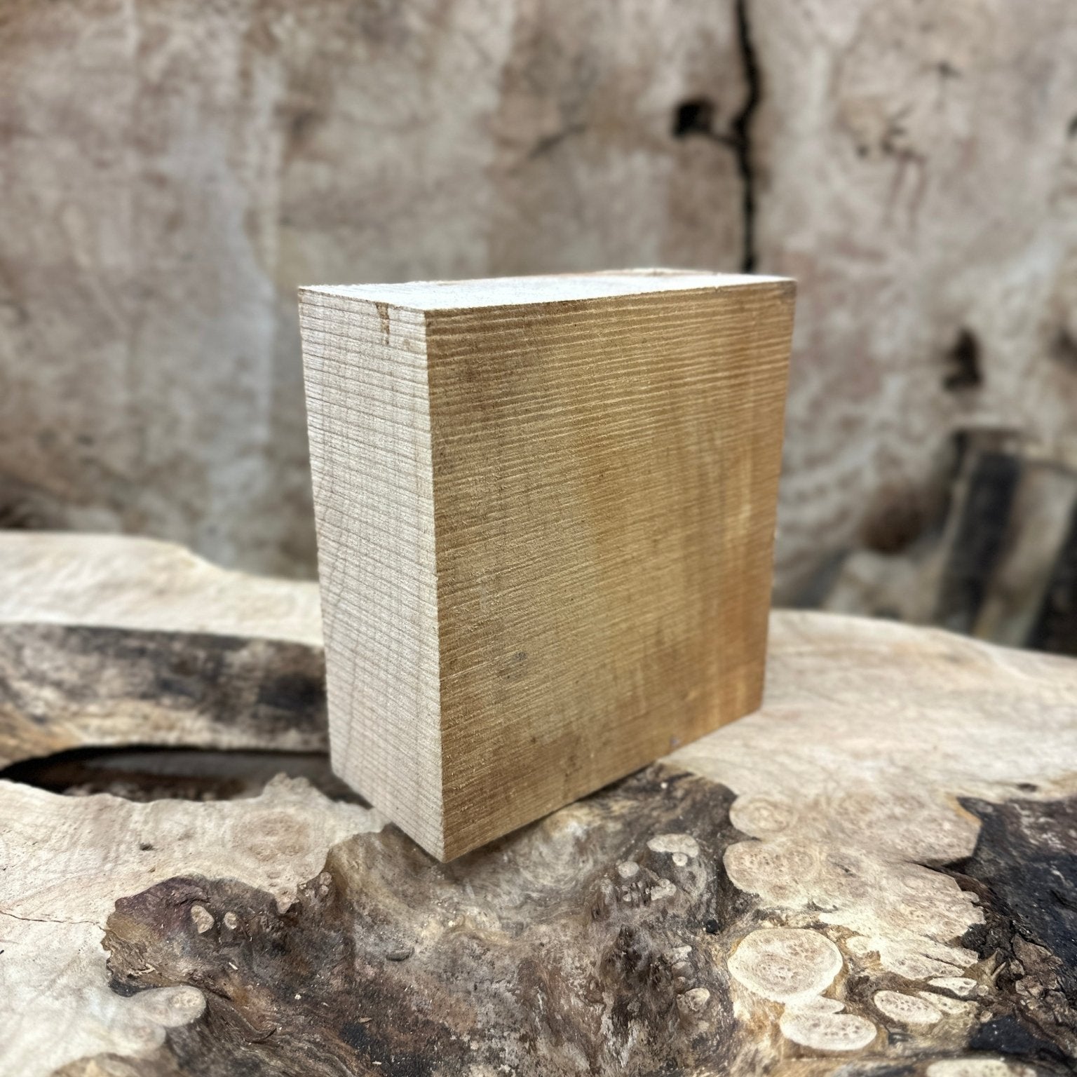 Big Leaf Maple Blank | Big Leaf Maple | Hamilton Lee Supply