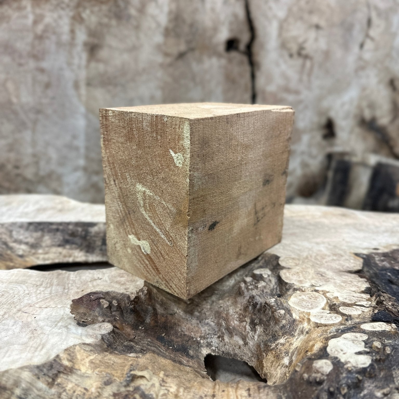 Big Leaf Maple Blank | Big Leaf Maple | Hamilton Lee Supply