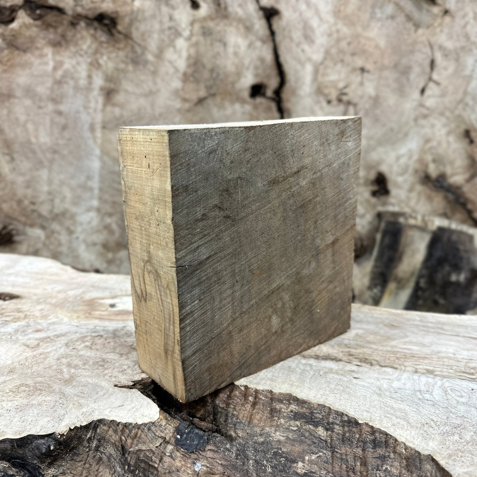 Big Leaf Maple Blank | Big Leaf Maple | Hamilton Lee Supply