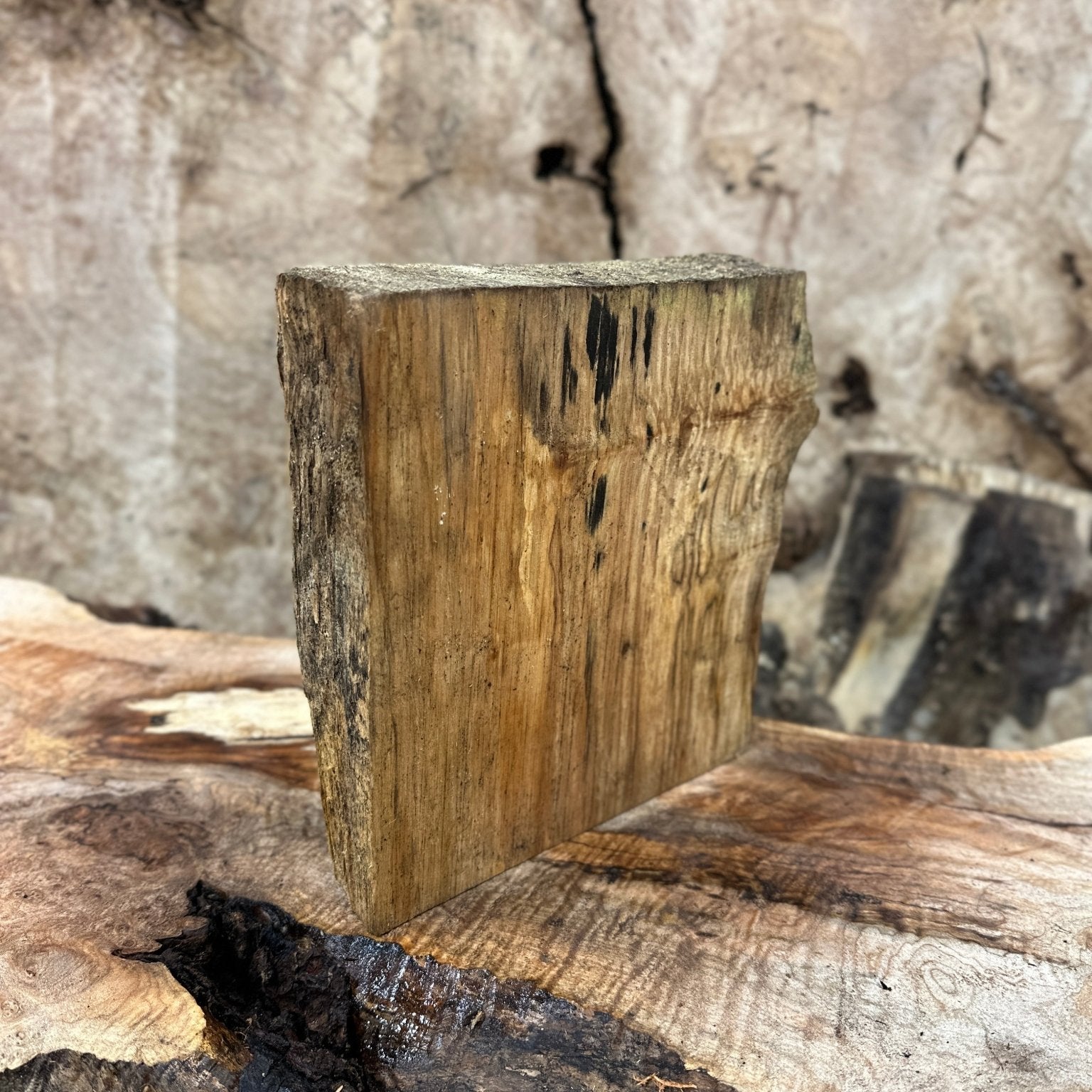 Big Leaf Maple Blank | Big Leaf Maple | Hamilton Lee Supply