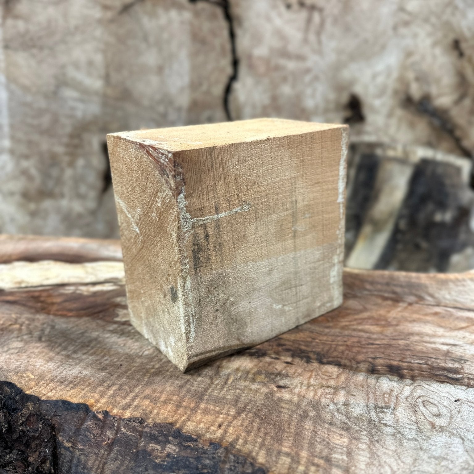 Big Leaf Maple Blank | Big Leaf Maple | Hamilton Lee Supply