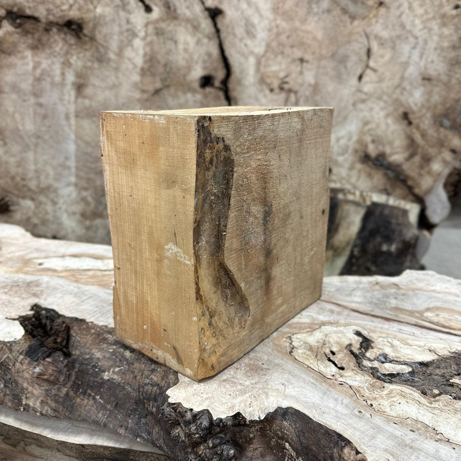 Big Leaf Maple Blank | Big Leaf Maple | Hamilton Lee Supply